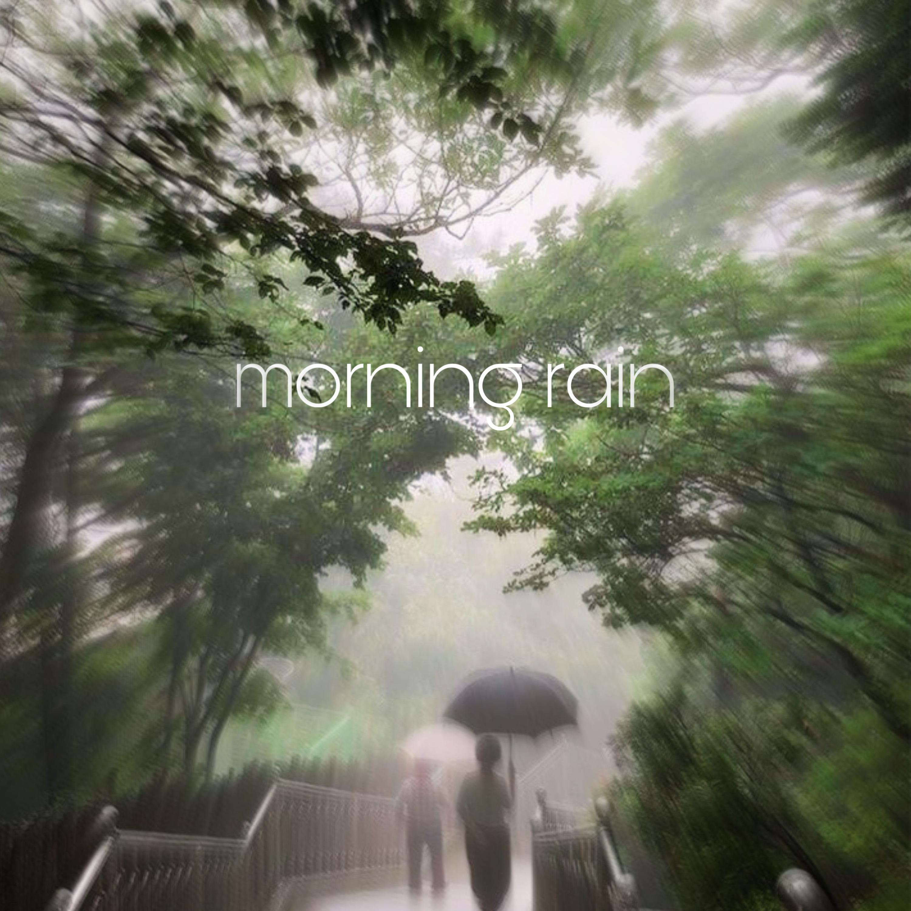 Постер альбома Morning Rain