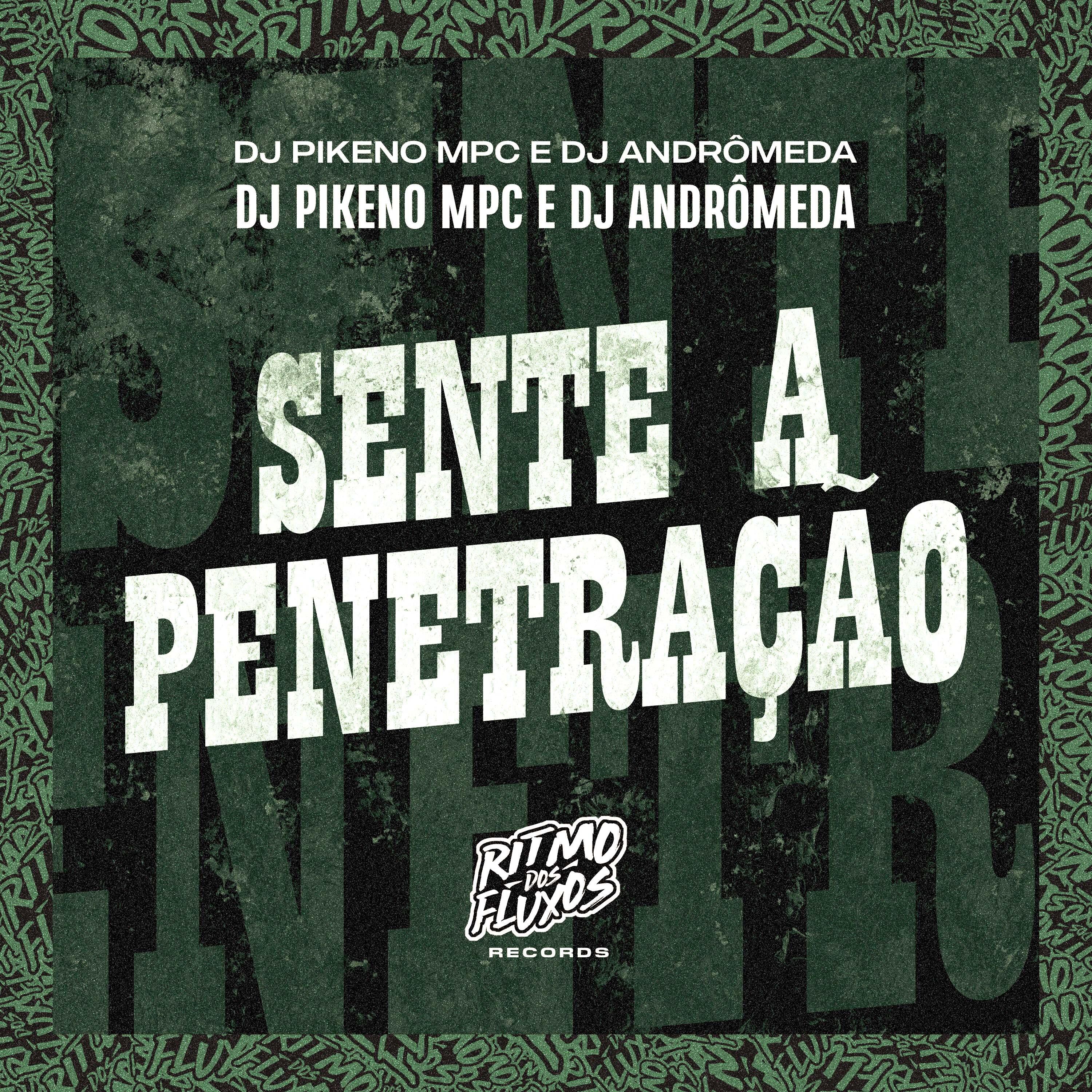 Постер альбома Sente a Penetração