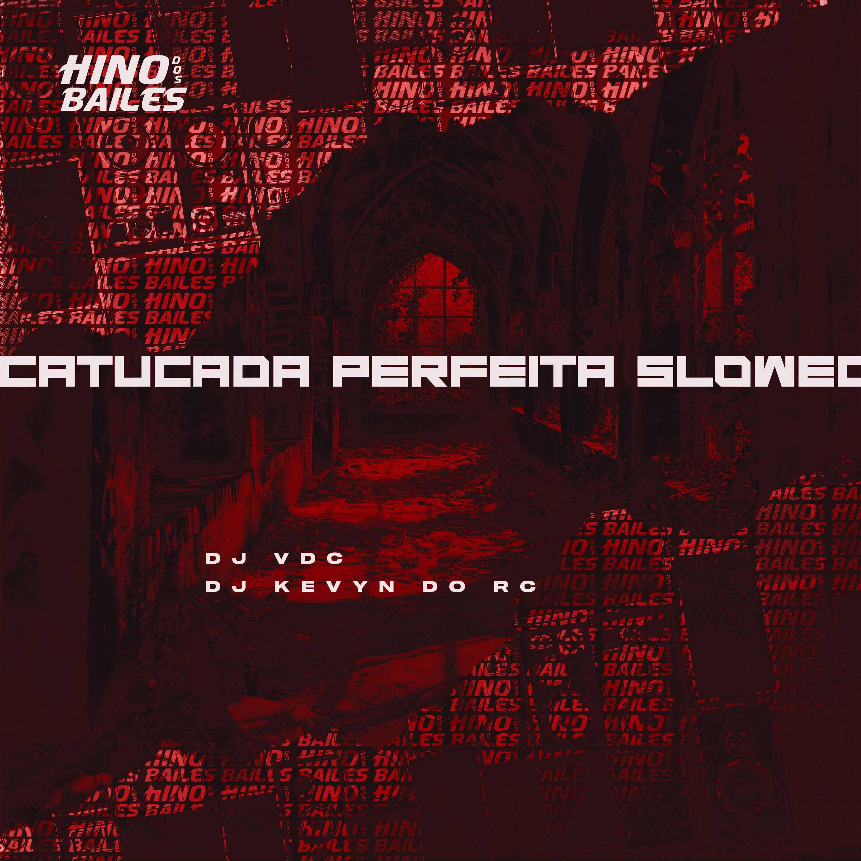 Постер альбома Catucada Perfeita Slowed