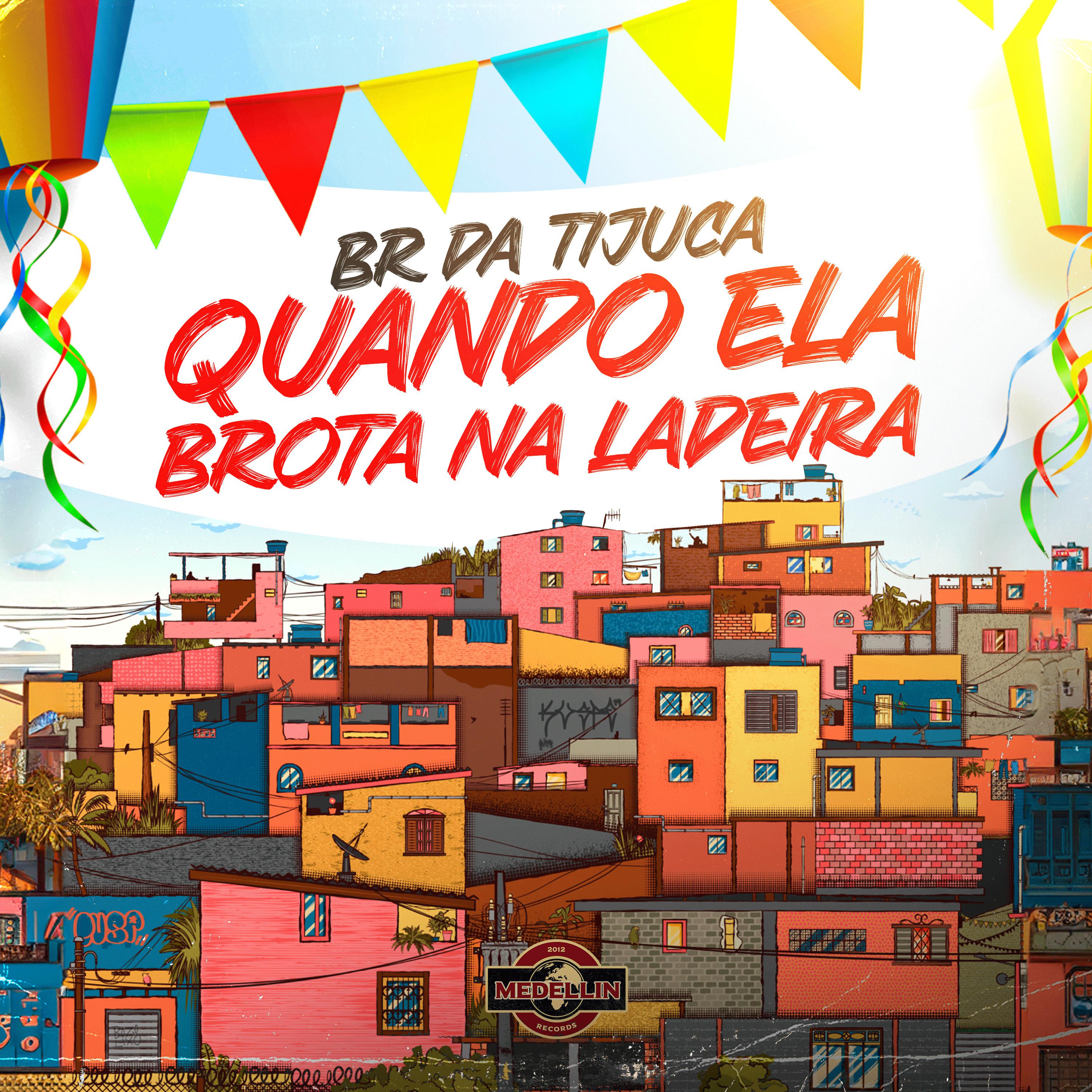 Постер альбома Quando Ela Brota na Ladeira