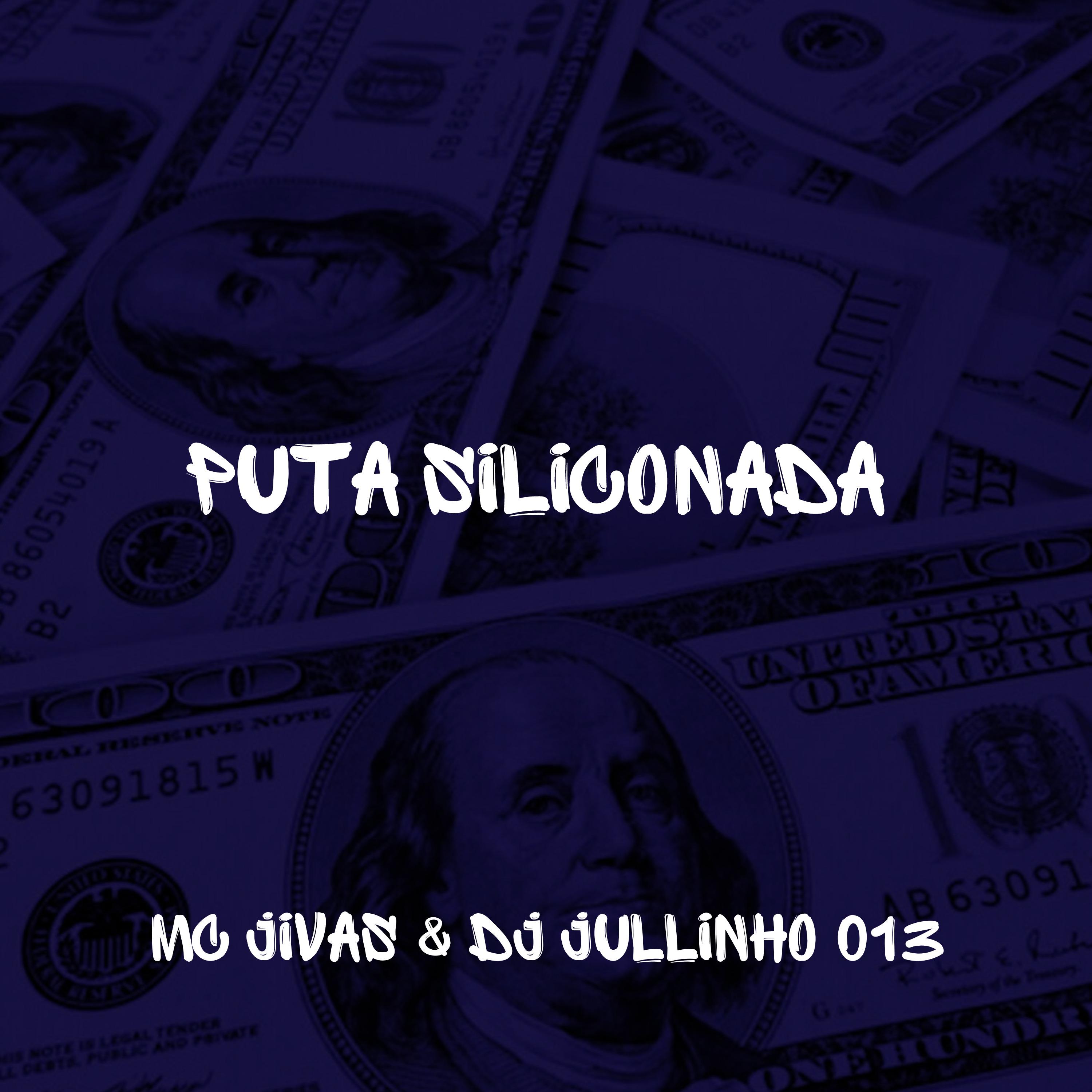 Постер альбома Puta Siliconada