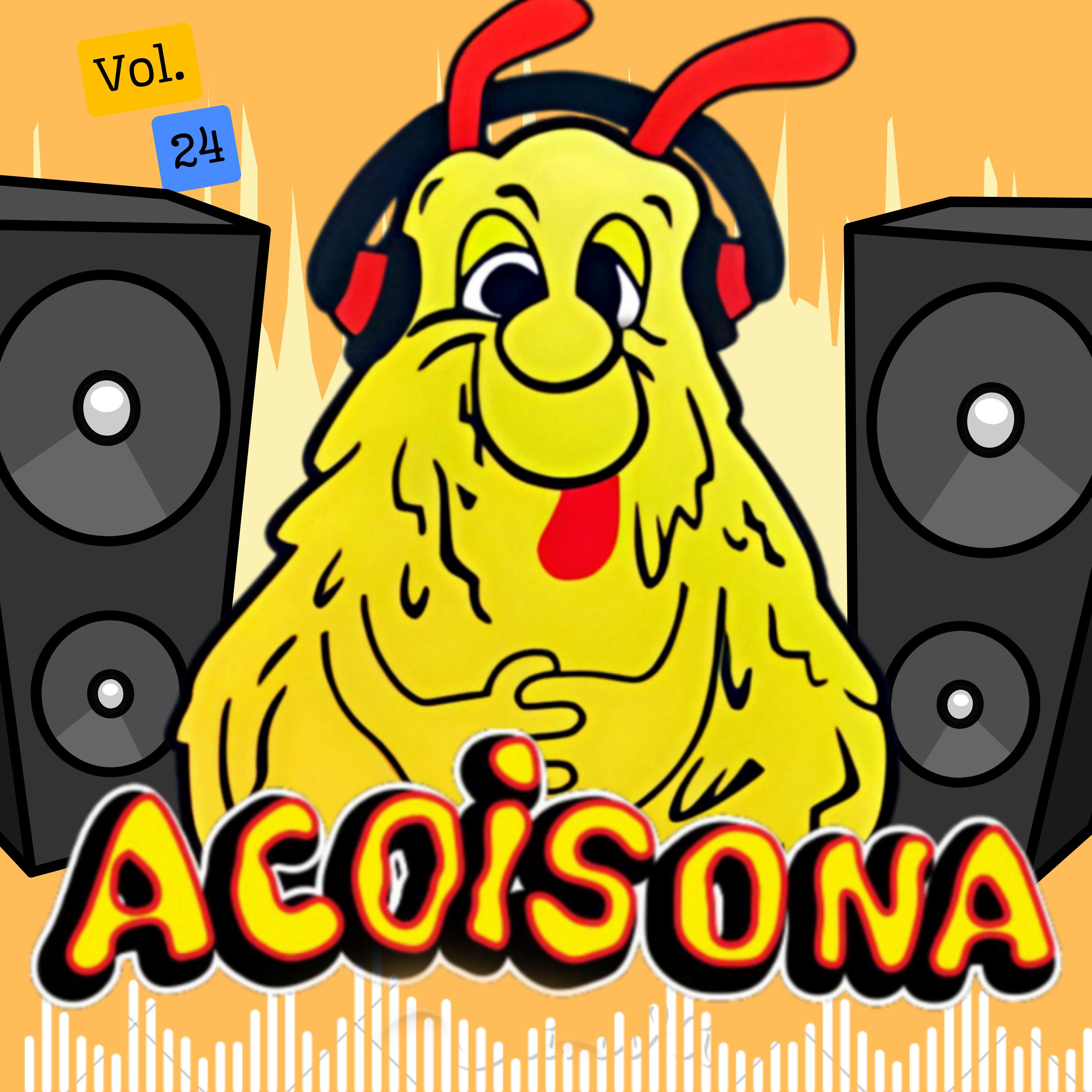 Постер альбома Acoisona, Vol. 24