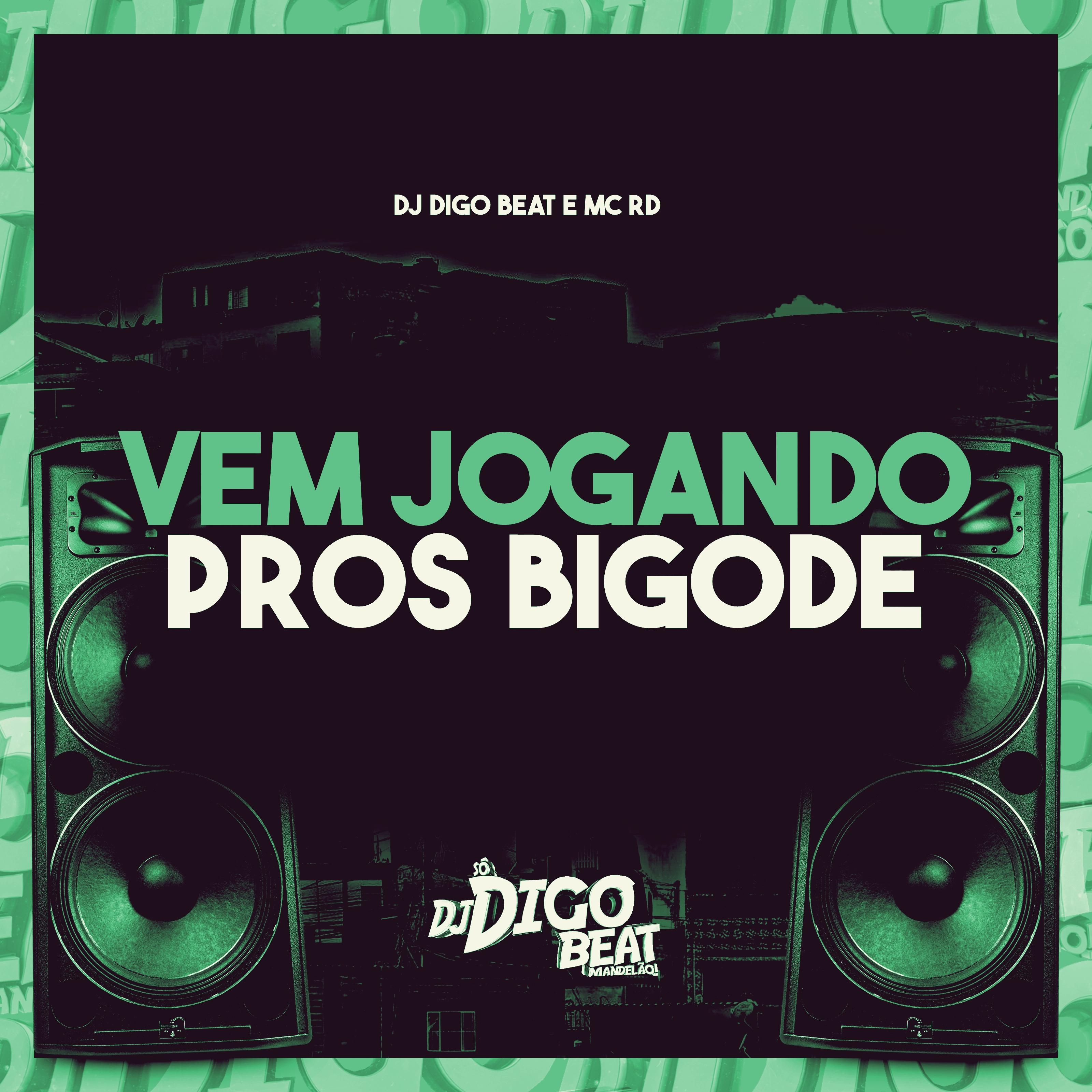Постер альбома Vem Jogando Pros Bigode