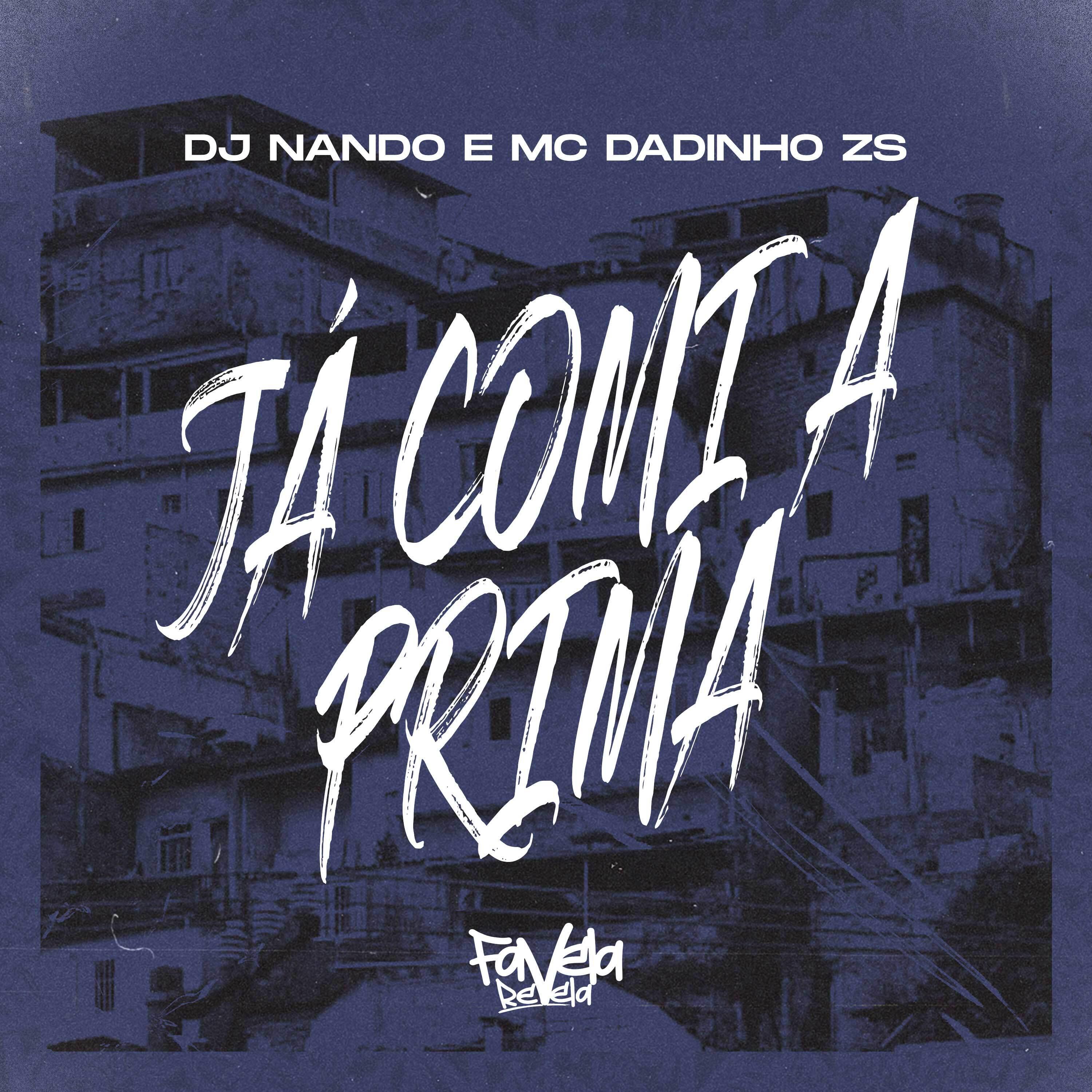Постер альбома Já Comi a Prima