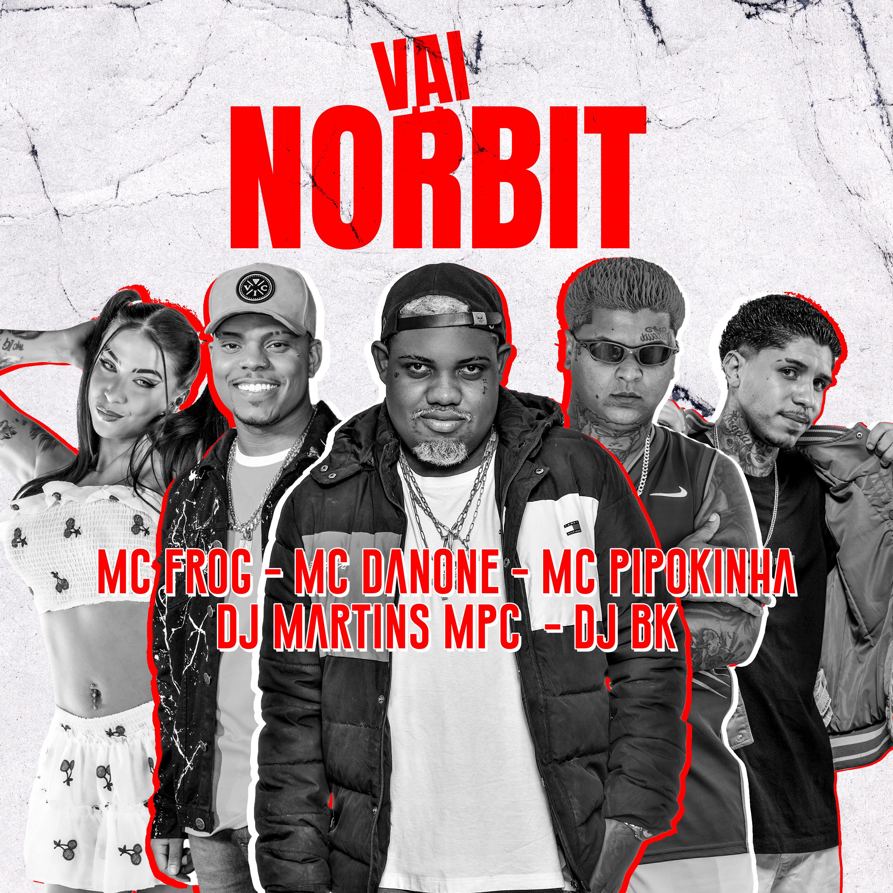 Постер альбома Vai Norbit