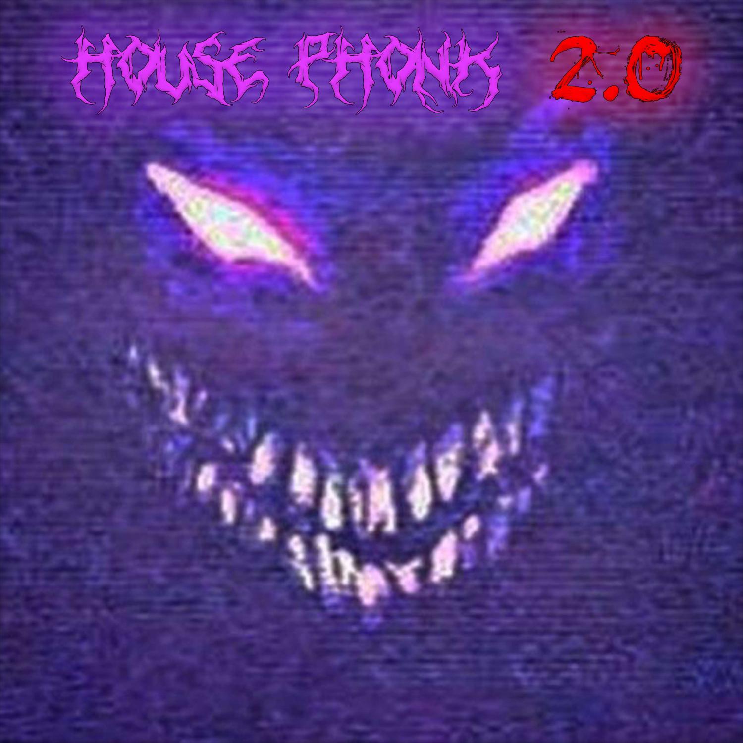 Постер альбома House Phonk (2.0)