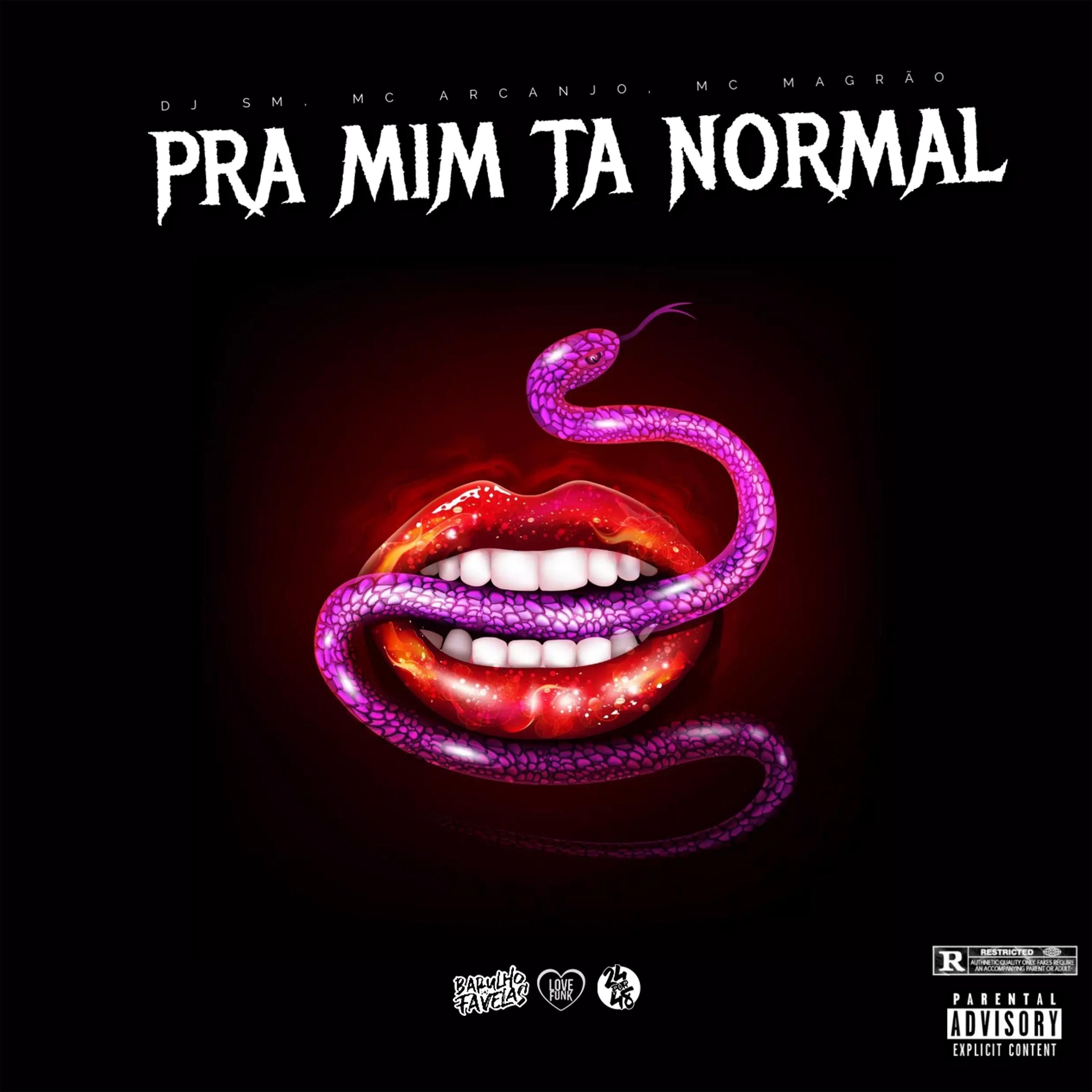 Постер альбома Pra Mim Ta Normal