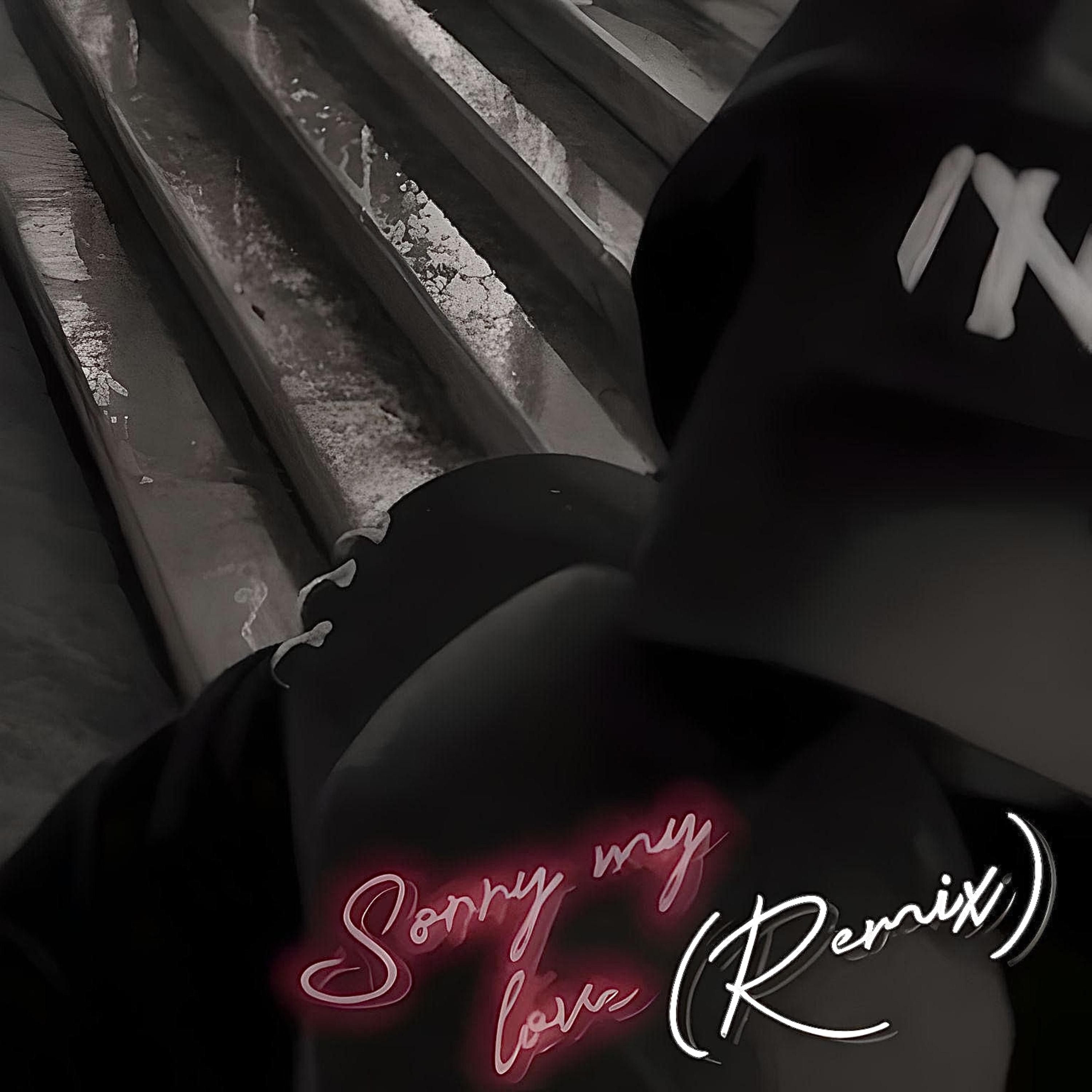 Постер альбома Sorry My Love (Remix)