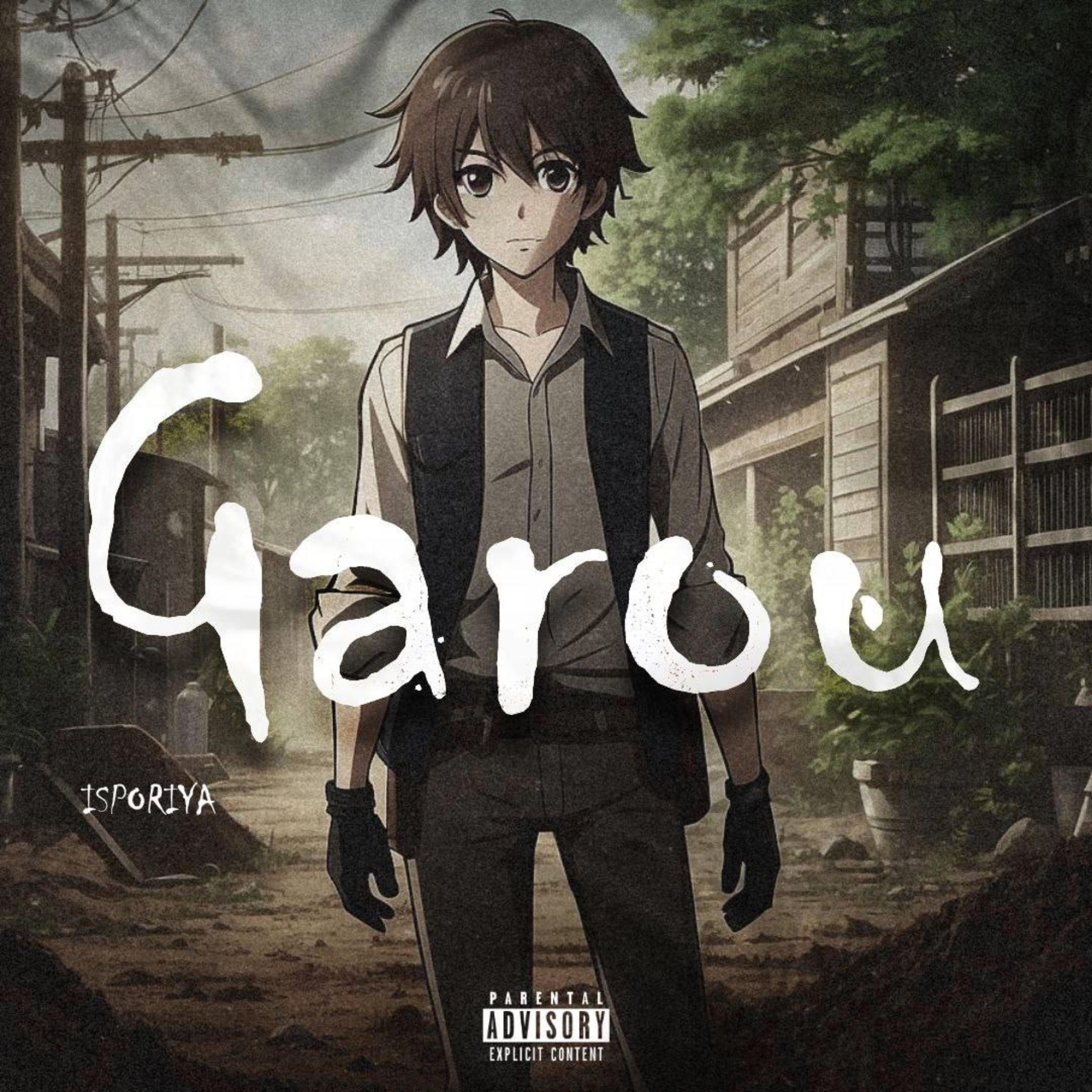 Постер альбома Garou