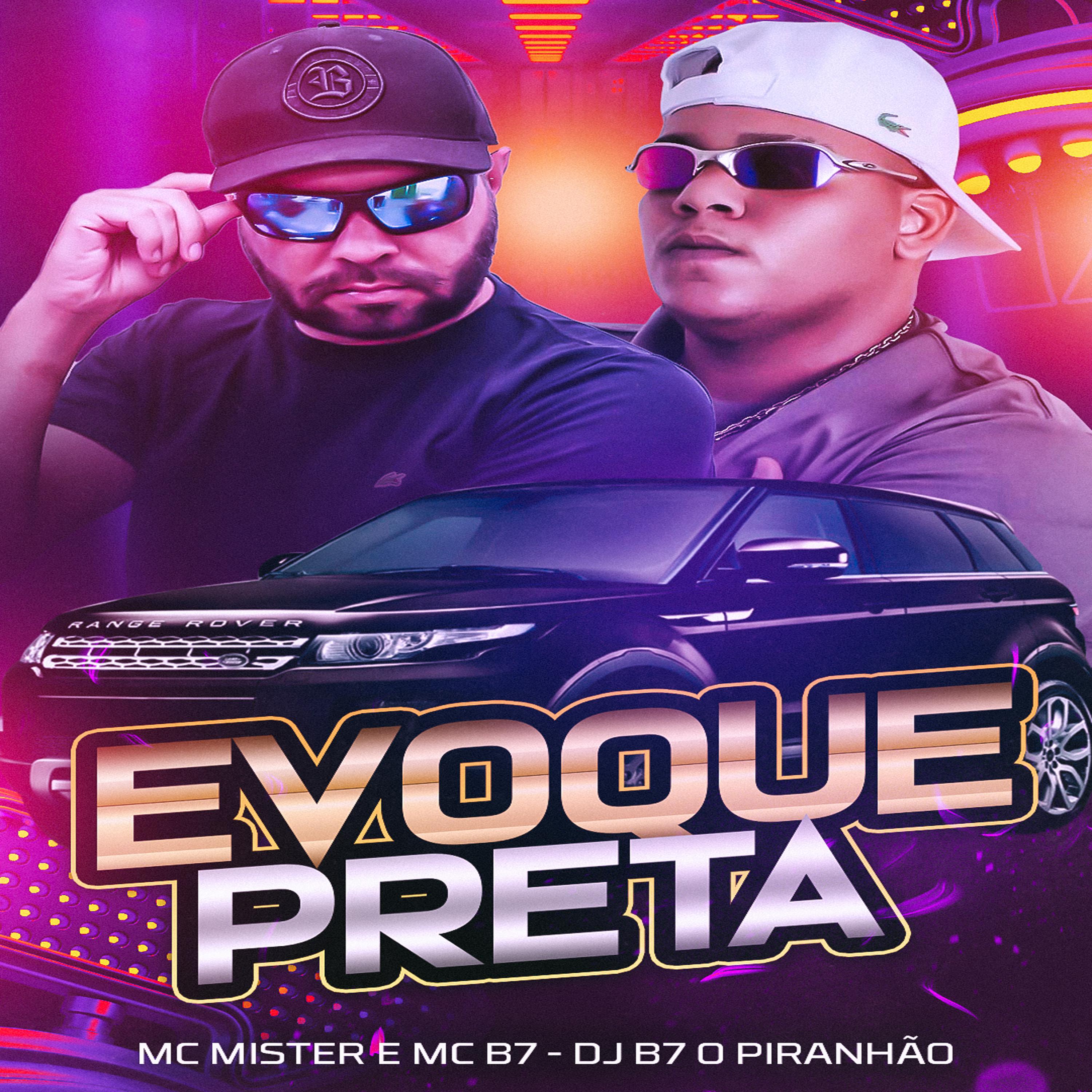 Постер альбома Evoque Preta