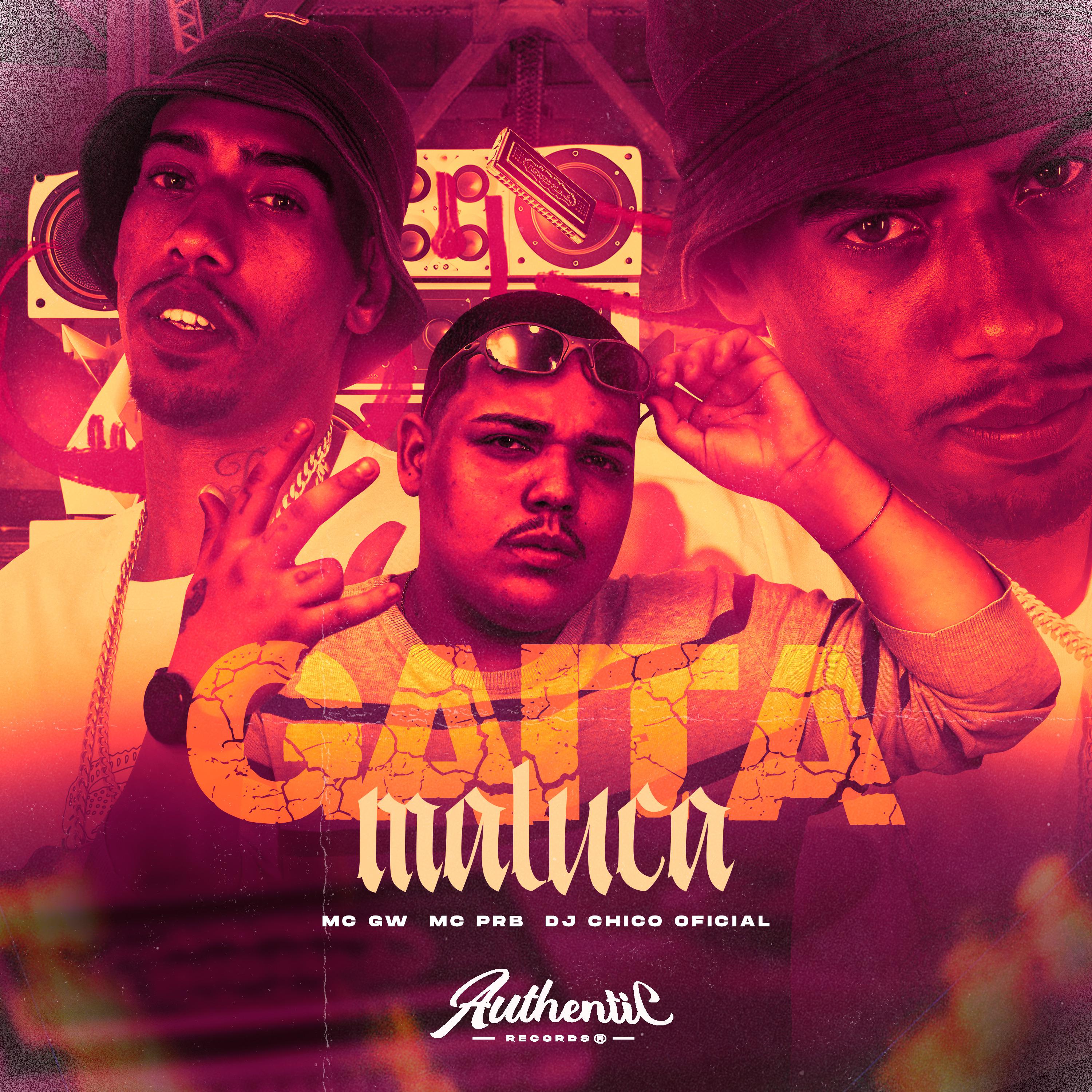 Постер альбома Gaita Maluca