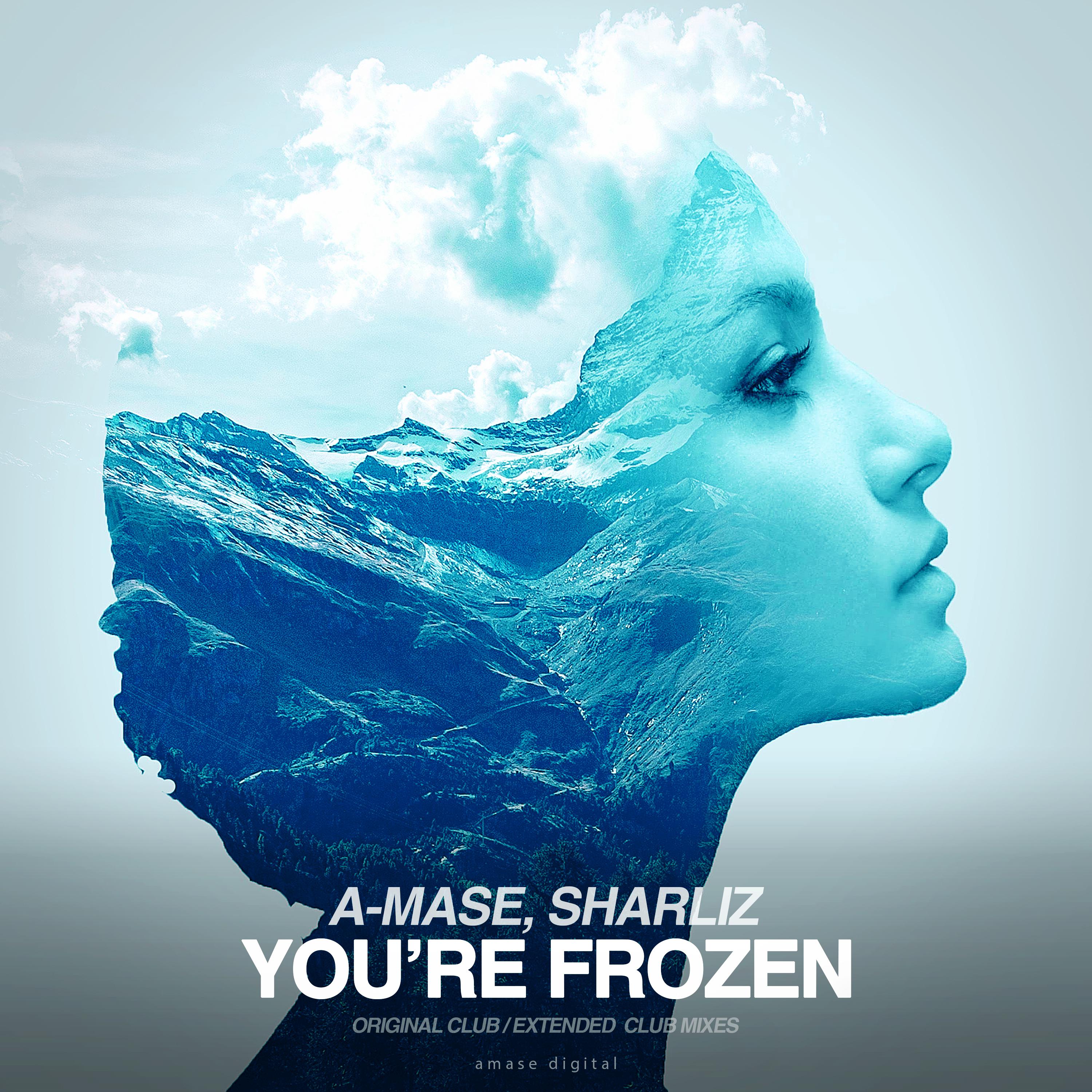 Постер альбома You're Frozen Remix