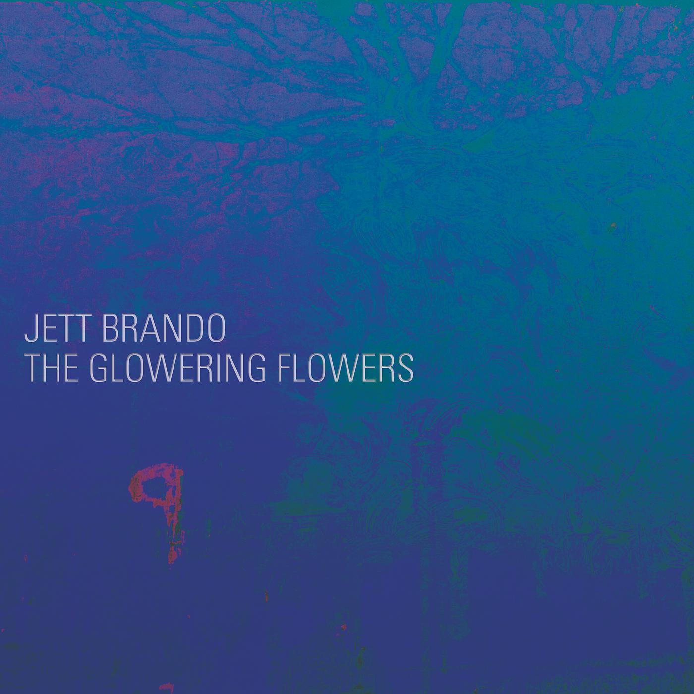 Постер альбома The Glowering Flowers