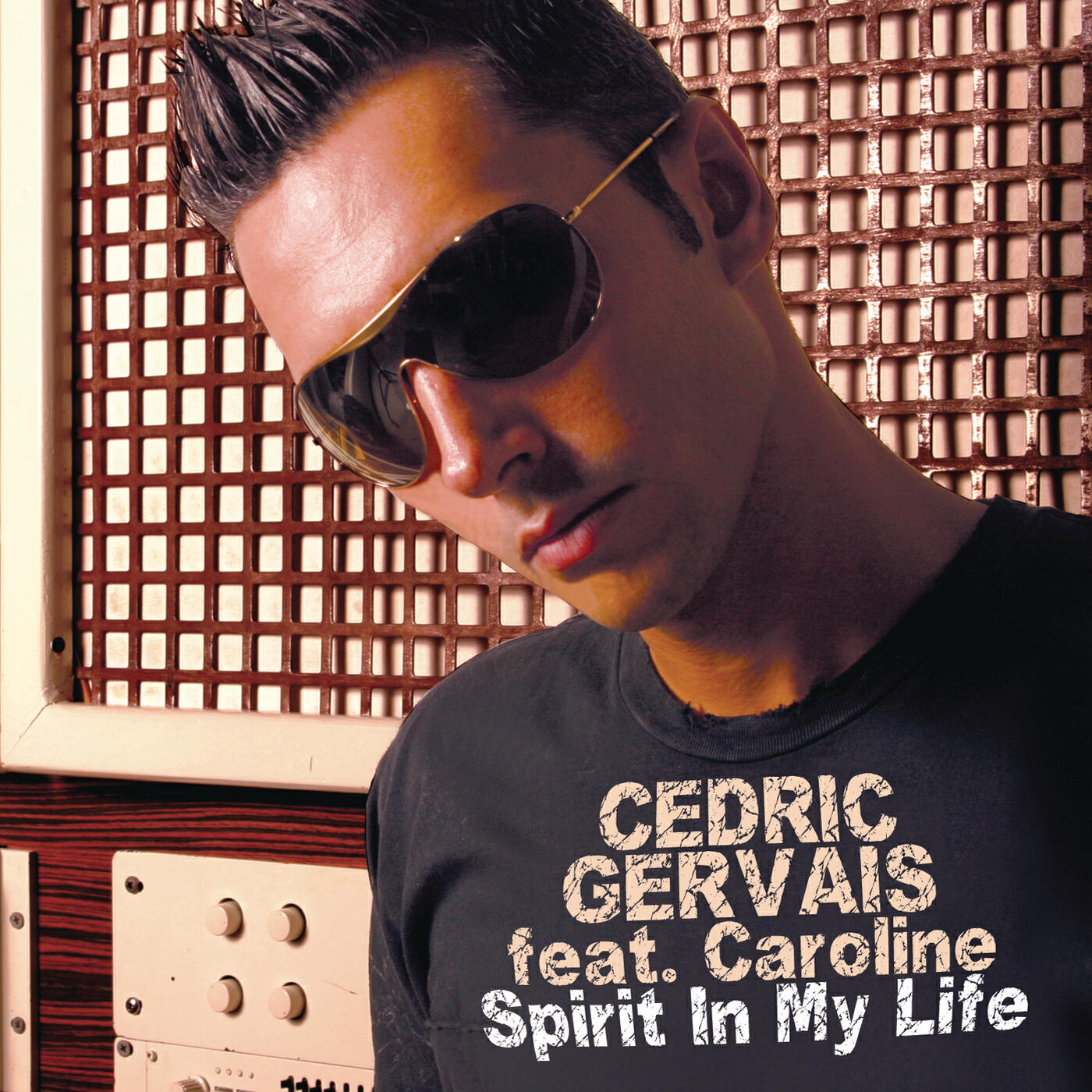 Cedric Gervais - Spirit in My Life (Paul Harris & Audio Cage Remix)