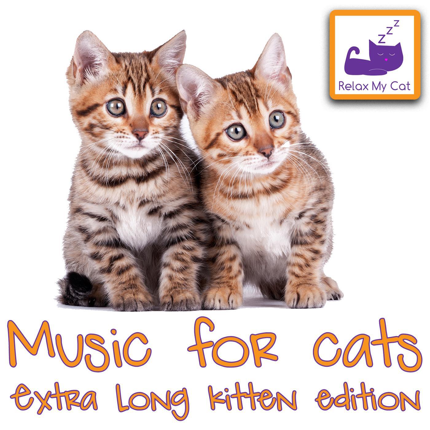 RelaxMyCat - Lynx