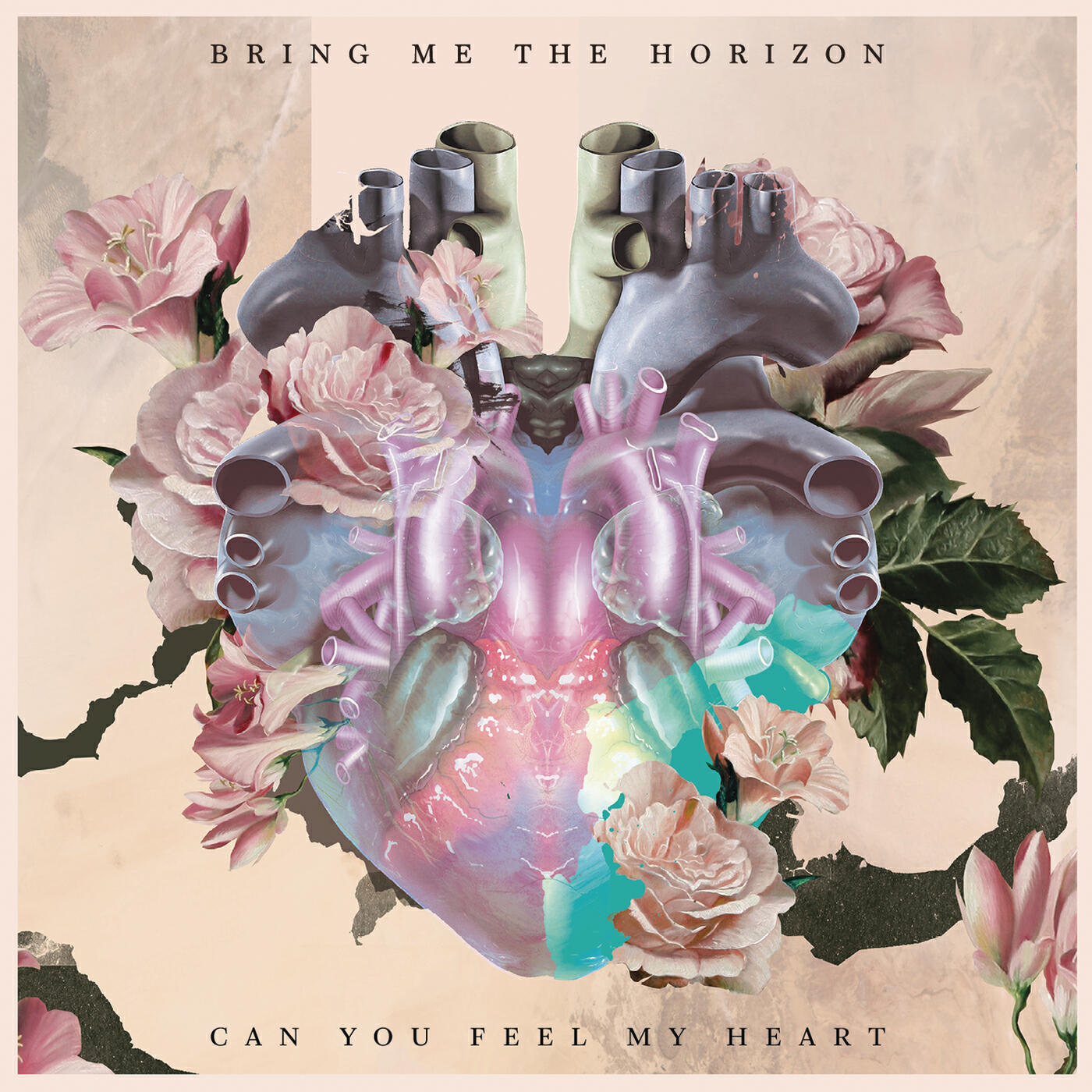 Bring Me The Horizon - Can You Feel My Heart (Shikari Sound System Remix)