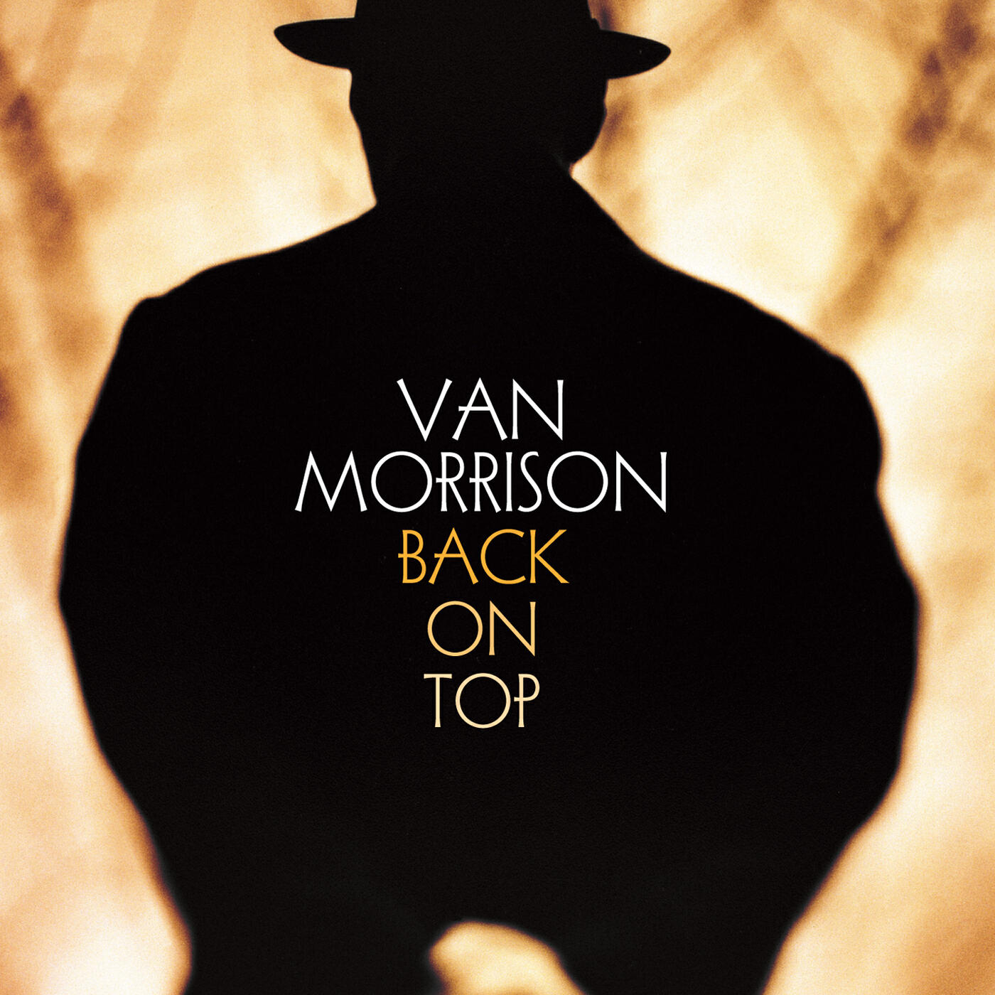 Van Morrison - High Summer (Remastered)