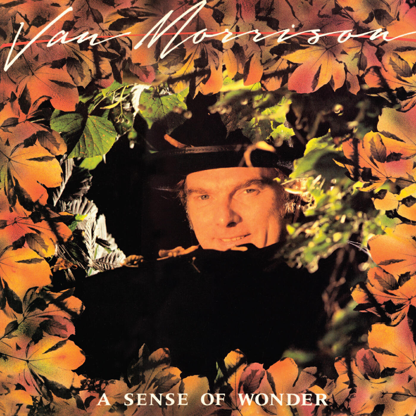 Van Morrison - Boffyflow and Spike