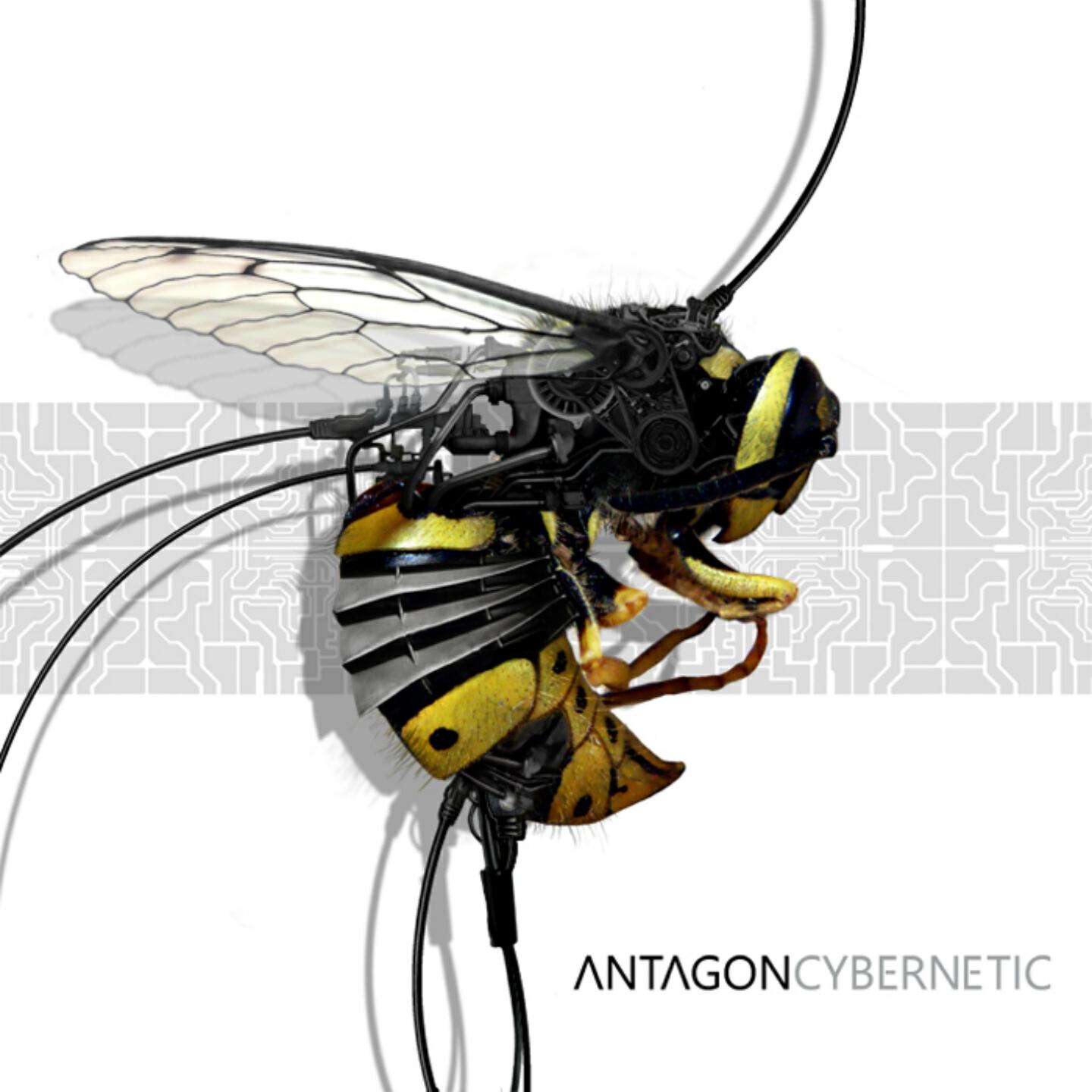 Antagon - Spiritum