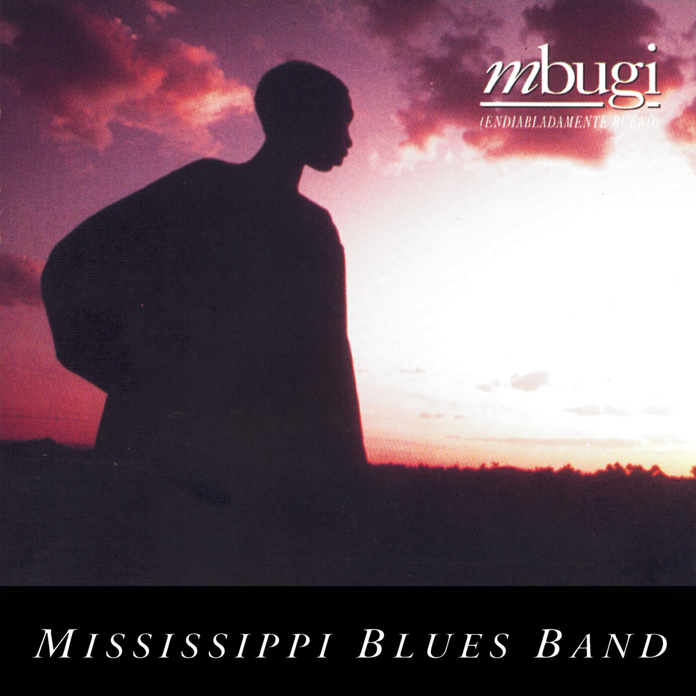Mississippi Blues Band - Same Old Blues