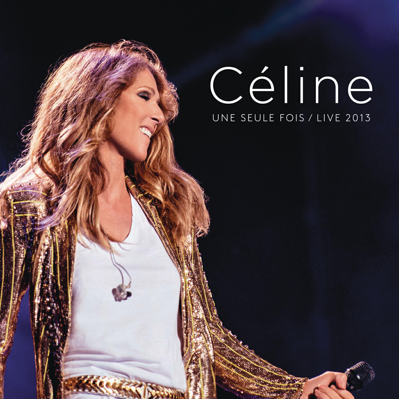 Céline Dion - Ziggy (Un garçon pas comme les autres) [Live at Bercy, 2013]
