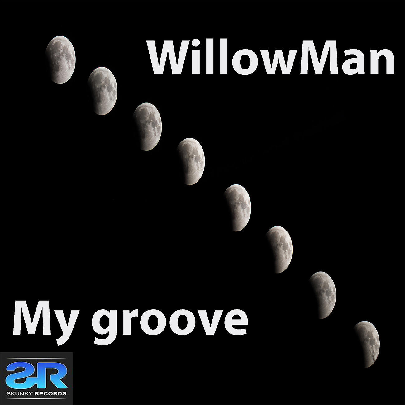 WillowMan - My Groove