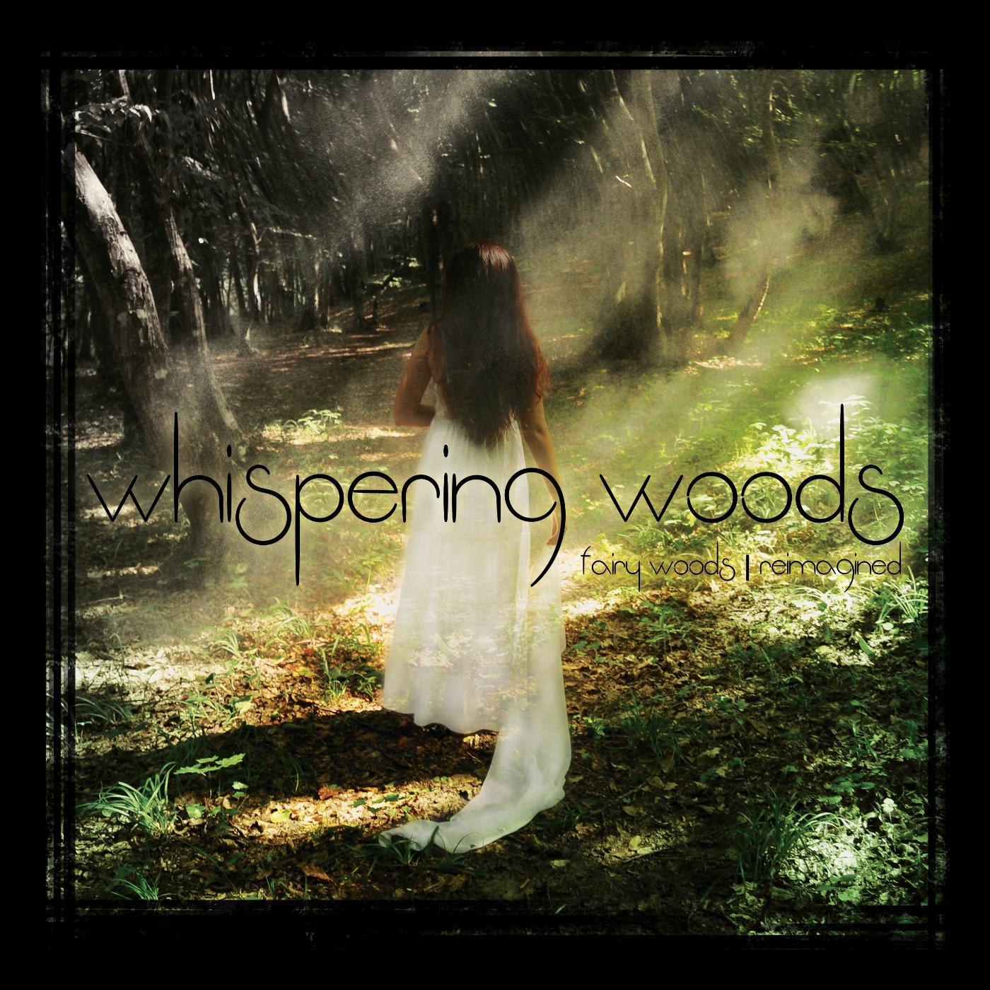 Постер альбома Fairy Woods Reimagined