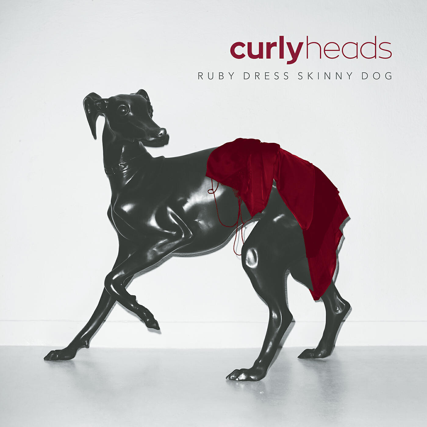 Постер альбома Ruby Dress Skinny Dog