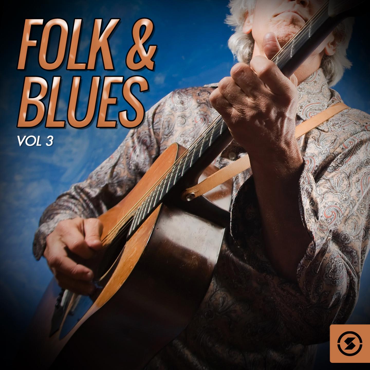 Постер альбома Folk & Blues, Vol. 3