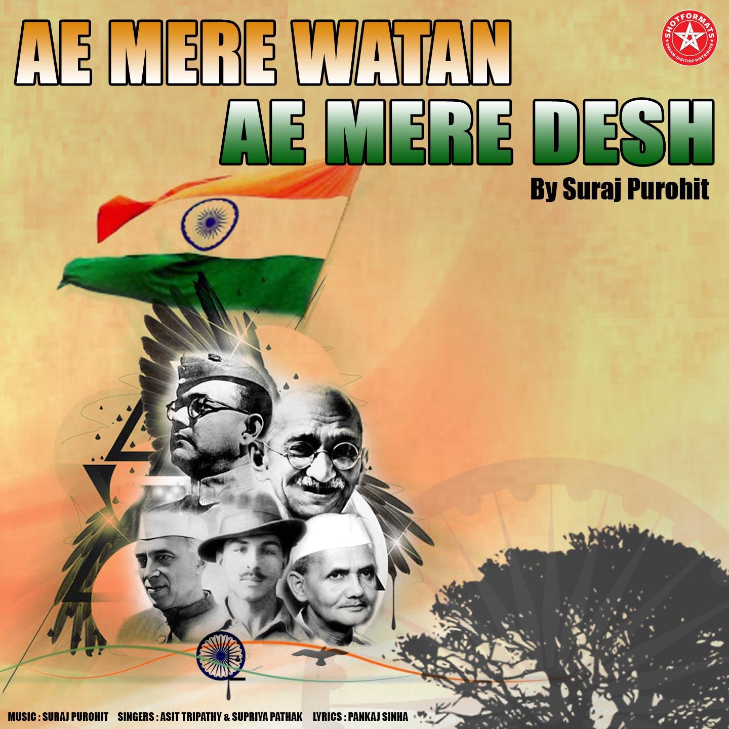 Постер альбома Ae Mere Watan Ae Mere Desh