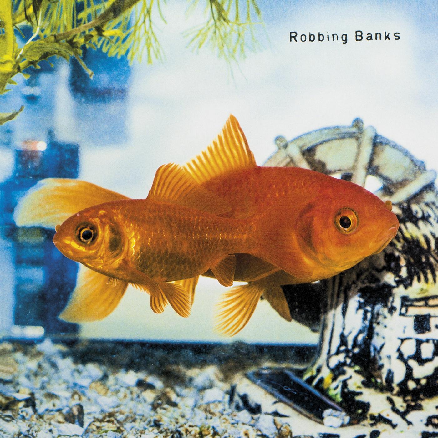Robbing Banks - Timebomb