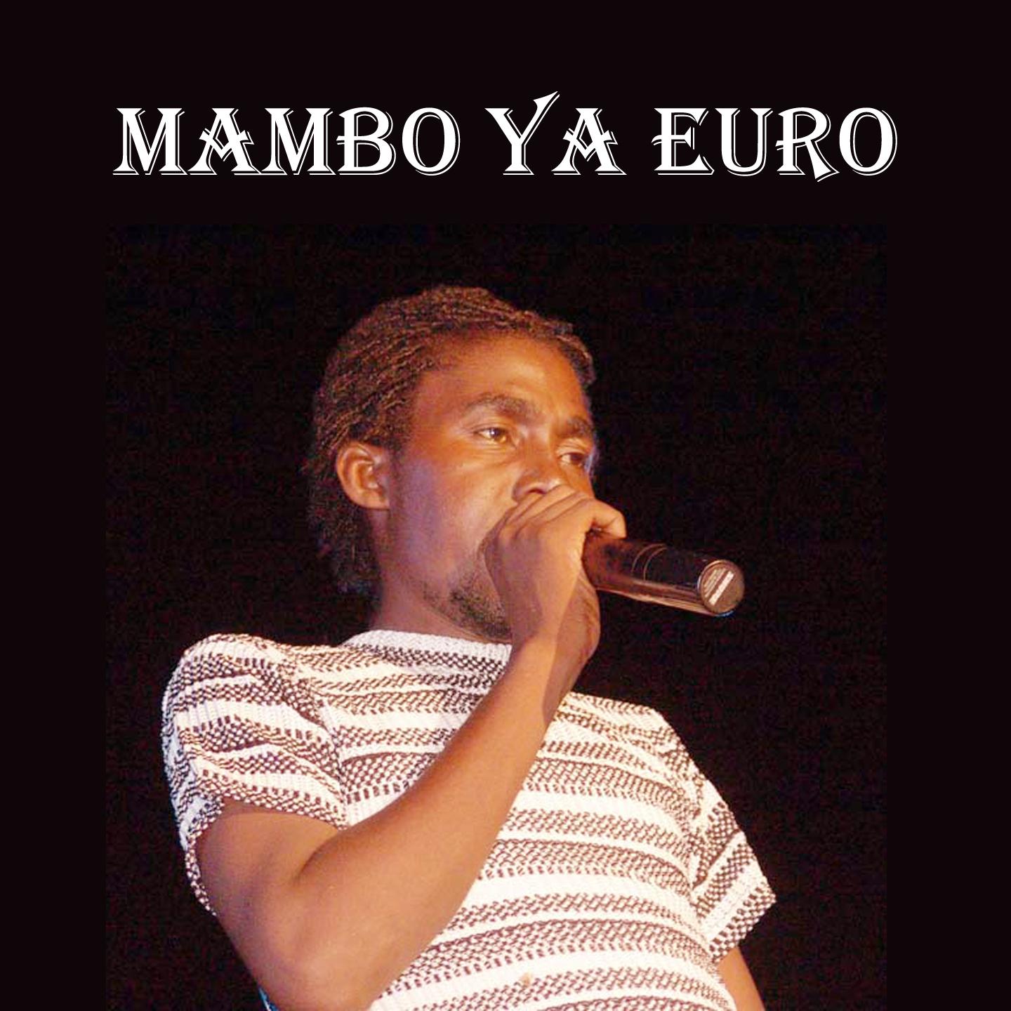 Постер альбома Mambo Ya Euro