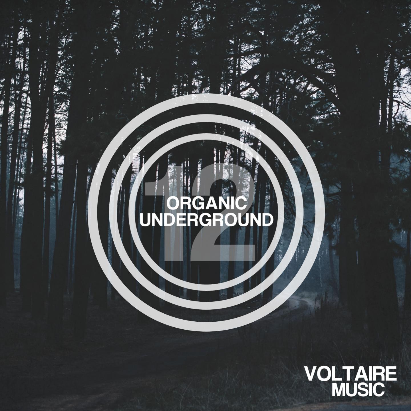 Постер альбома Organic Underground Issue 12