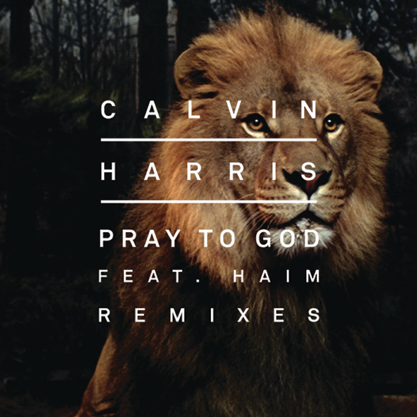 Calvin Harris - Pray to God (R3hab Remix)