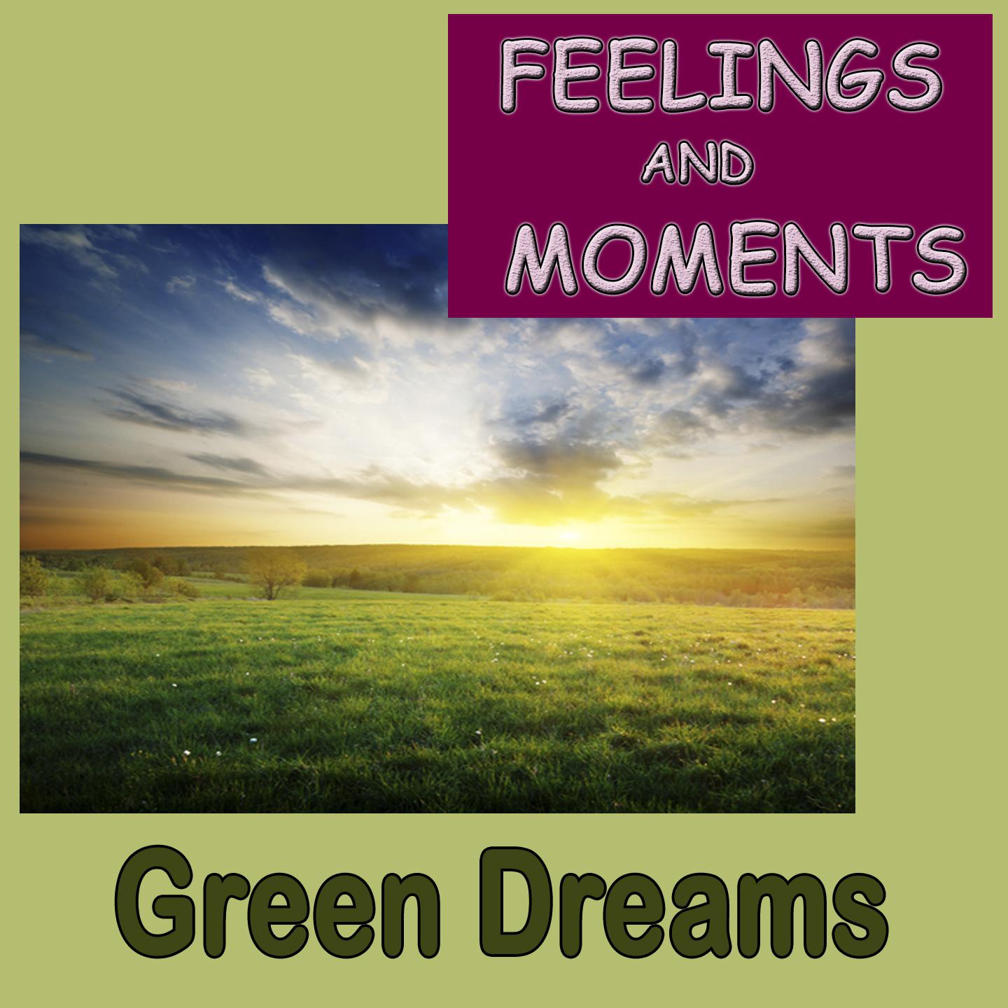 Постер альбома Feeling and Moments (Green Dreams)