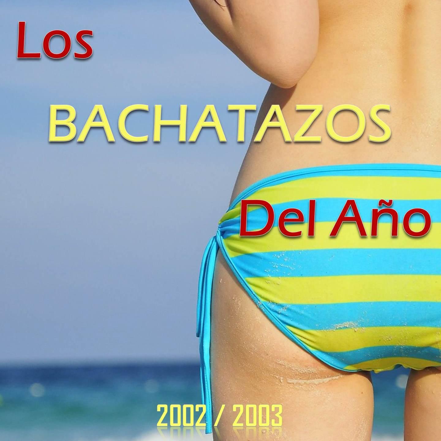Постер альбома Los Bachatazos del Año 2002 / 2003