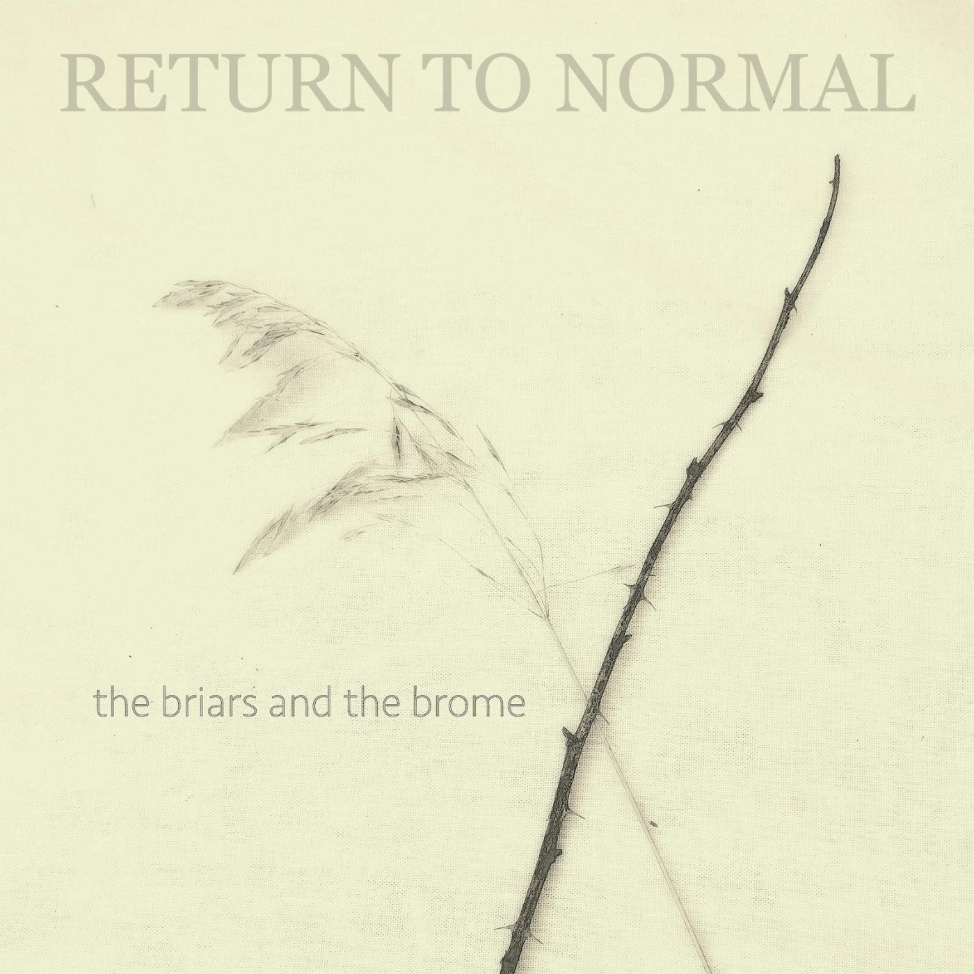 Return to Normal - A 21st Century Levee Moan