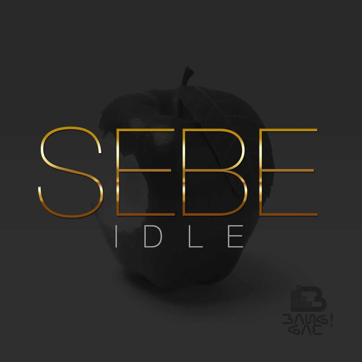 Постер альбома Sebe