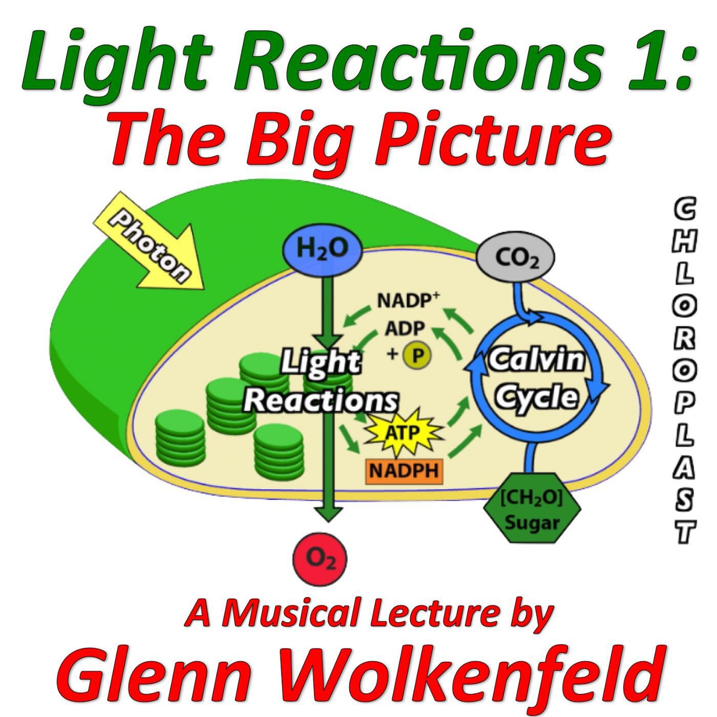 Постер альбома Light Reactions 1: The Big Picture