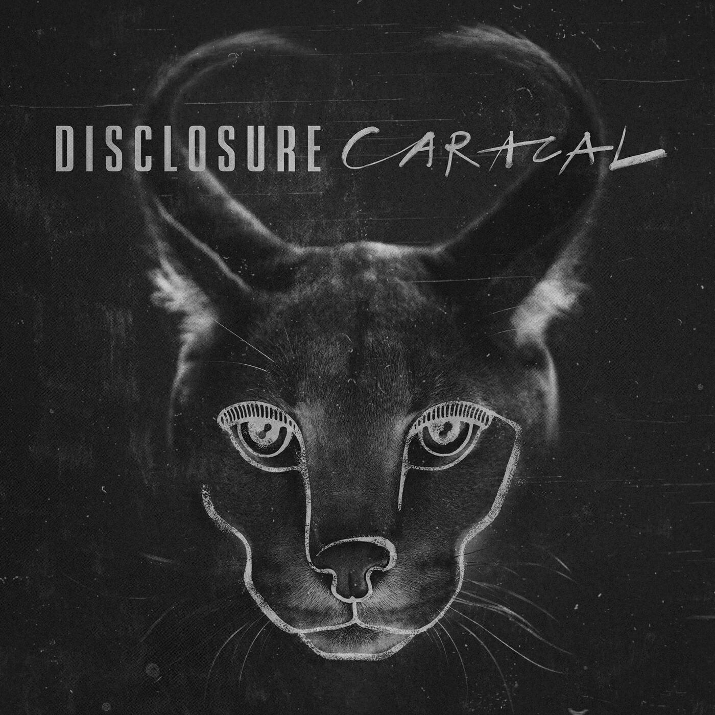 Disclosure - Superego
