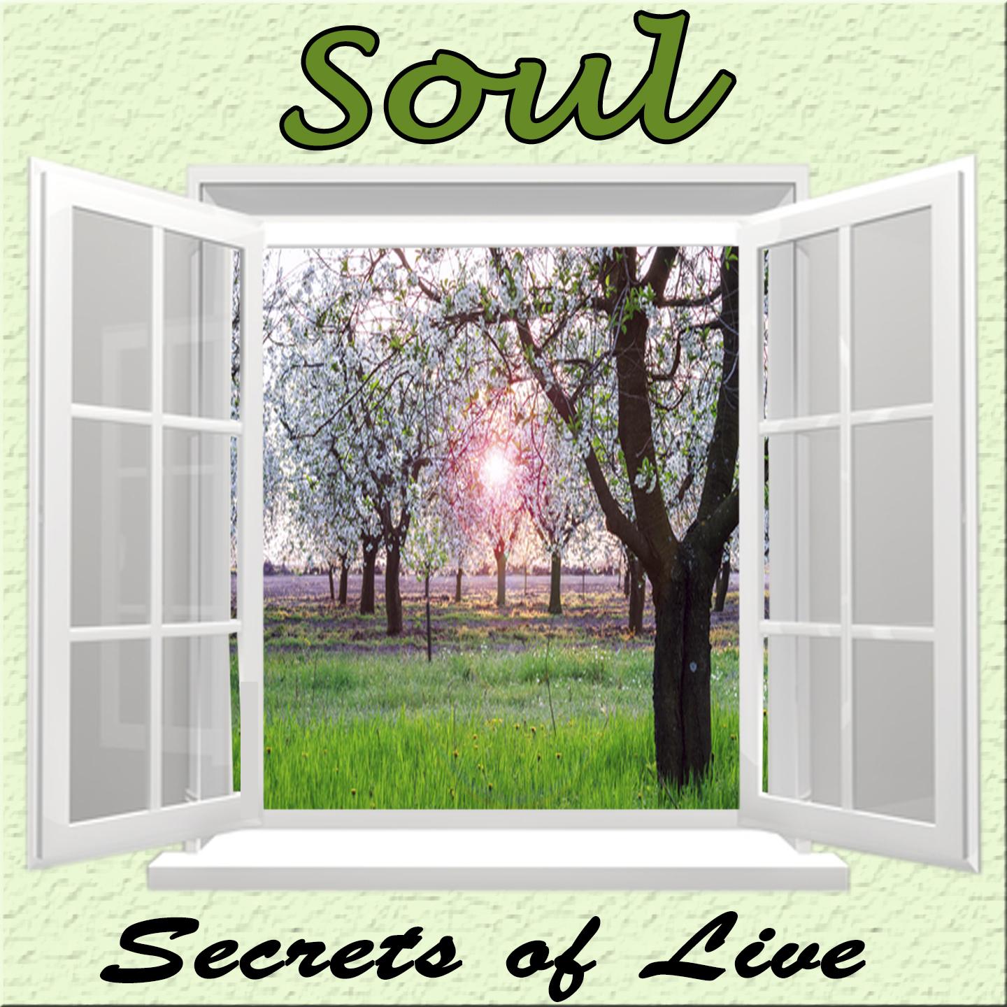 Постер альбома Secrets of Life, Soul