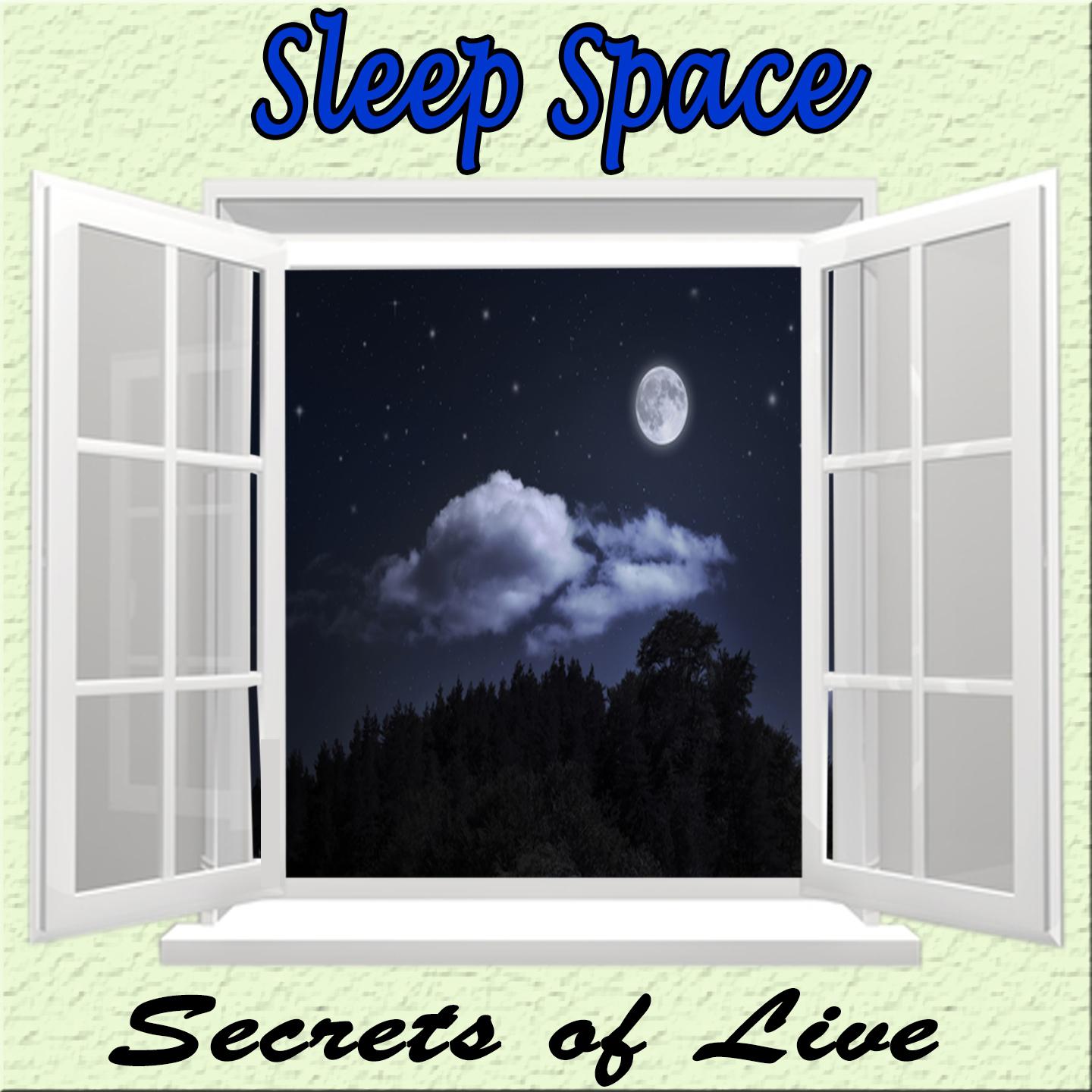 Постер альбома Secrets of Life, Sleep Space