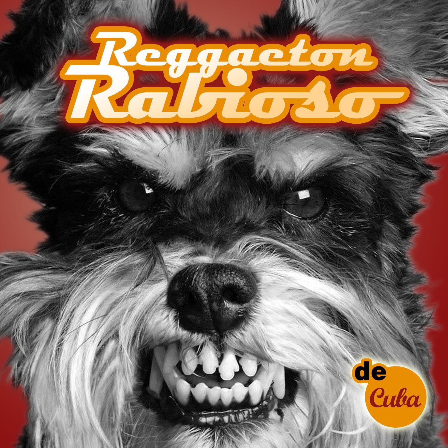 Постер альбома Reggaeton Rabioso