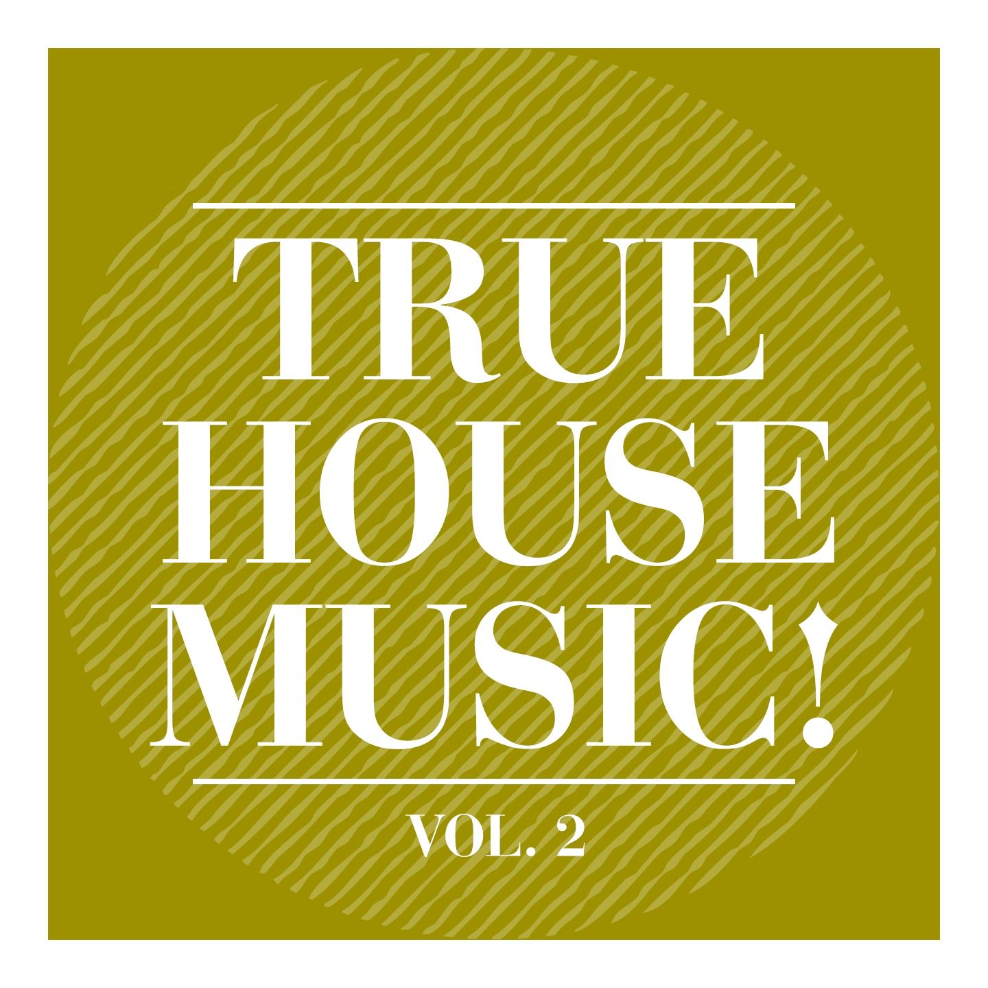 Постер альбома True House Music!, Vol. 2