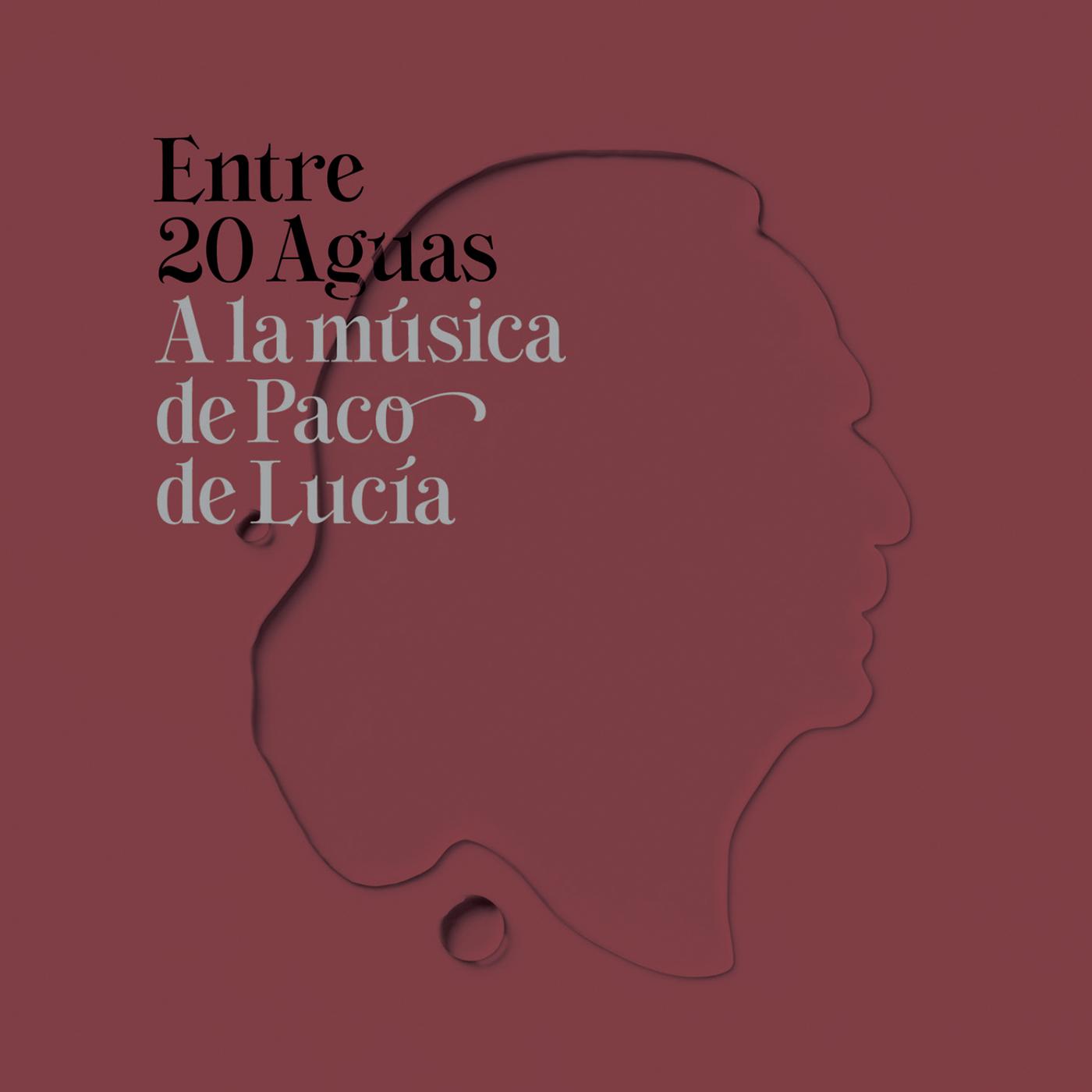 Постер альбома Entre 20 Aguas A La Música De Paco De Lucía