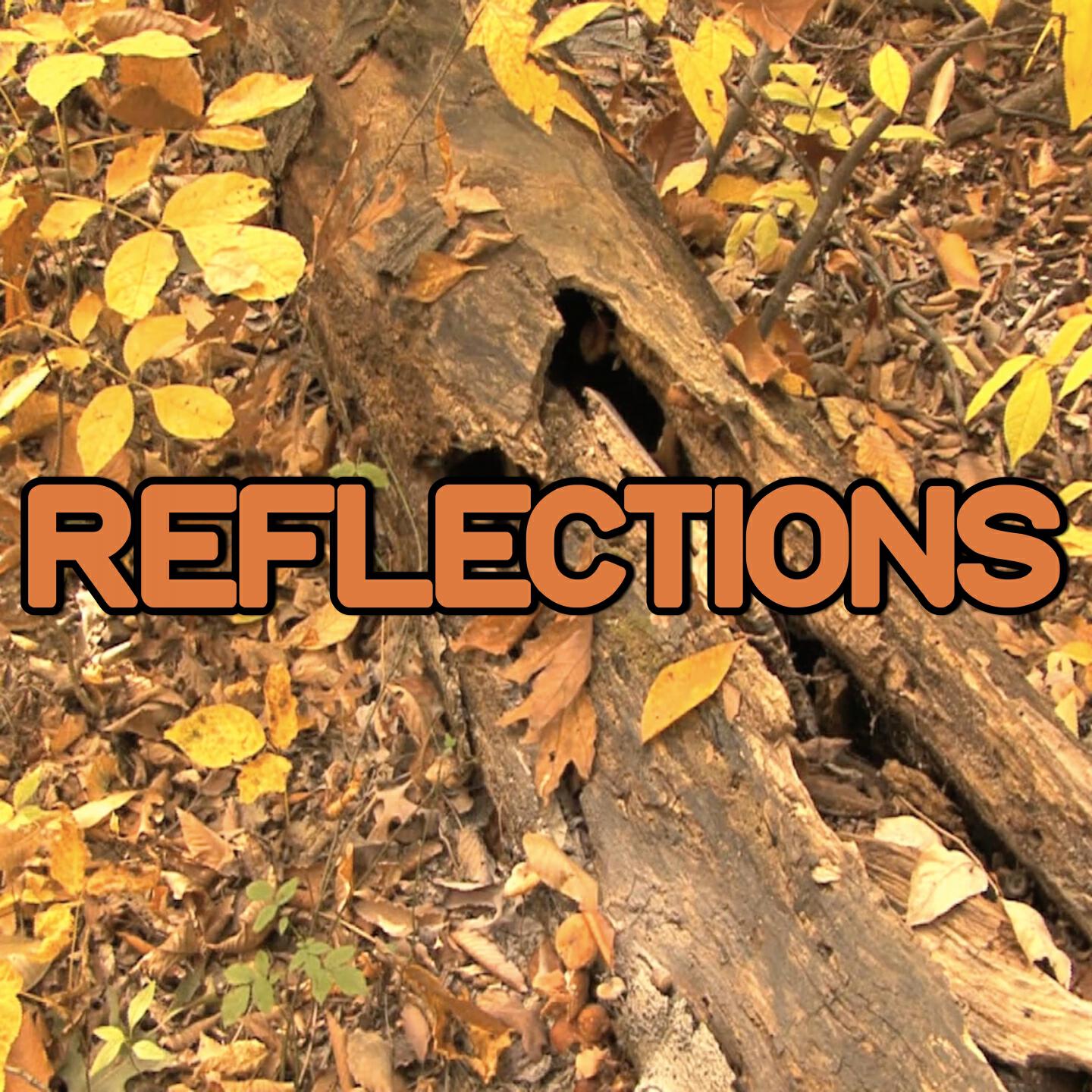 Swift Hits - Reflections - Tribute to Jacob Plant and Example (Instrumental Version)