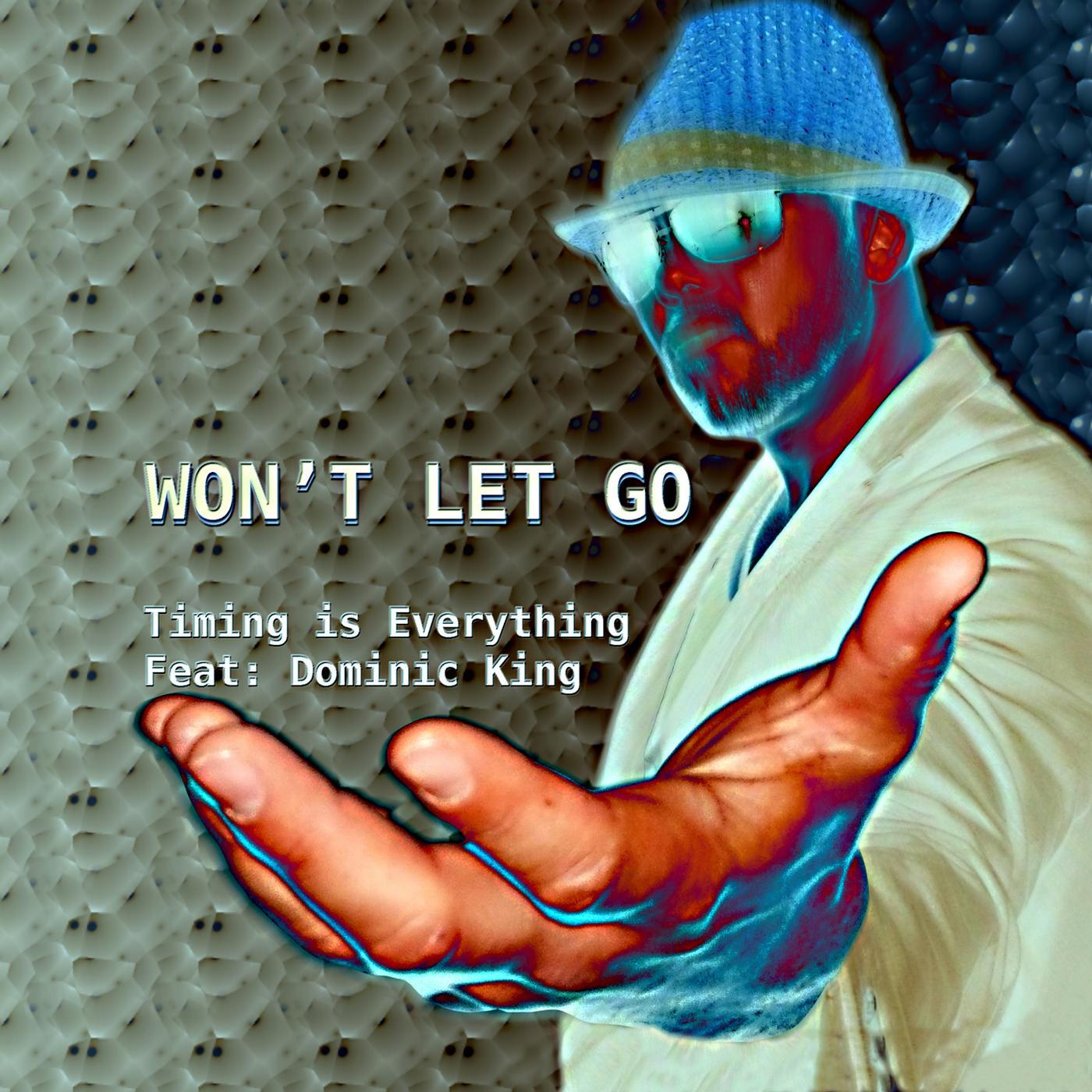 Постер альбома Won't Let Go (Mike Rizzo Remixes)