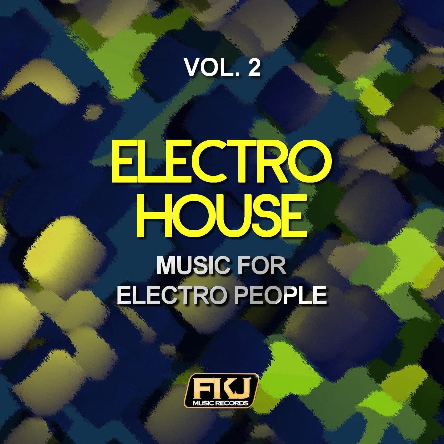 Постер альбома Electro House, Vol. 2