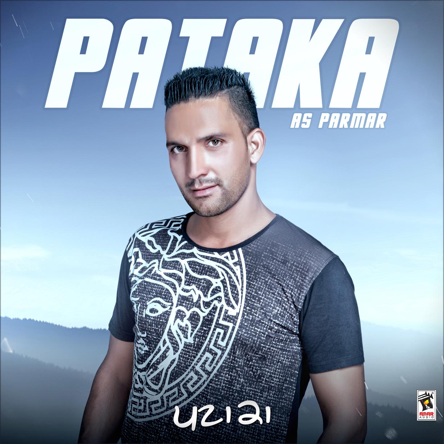 Постер альбома Pataka