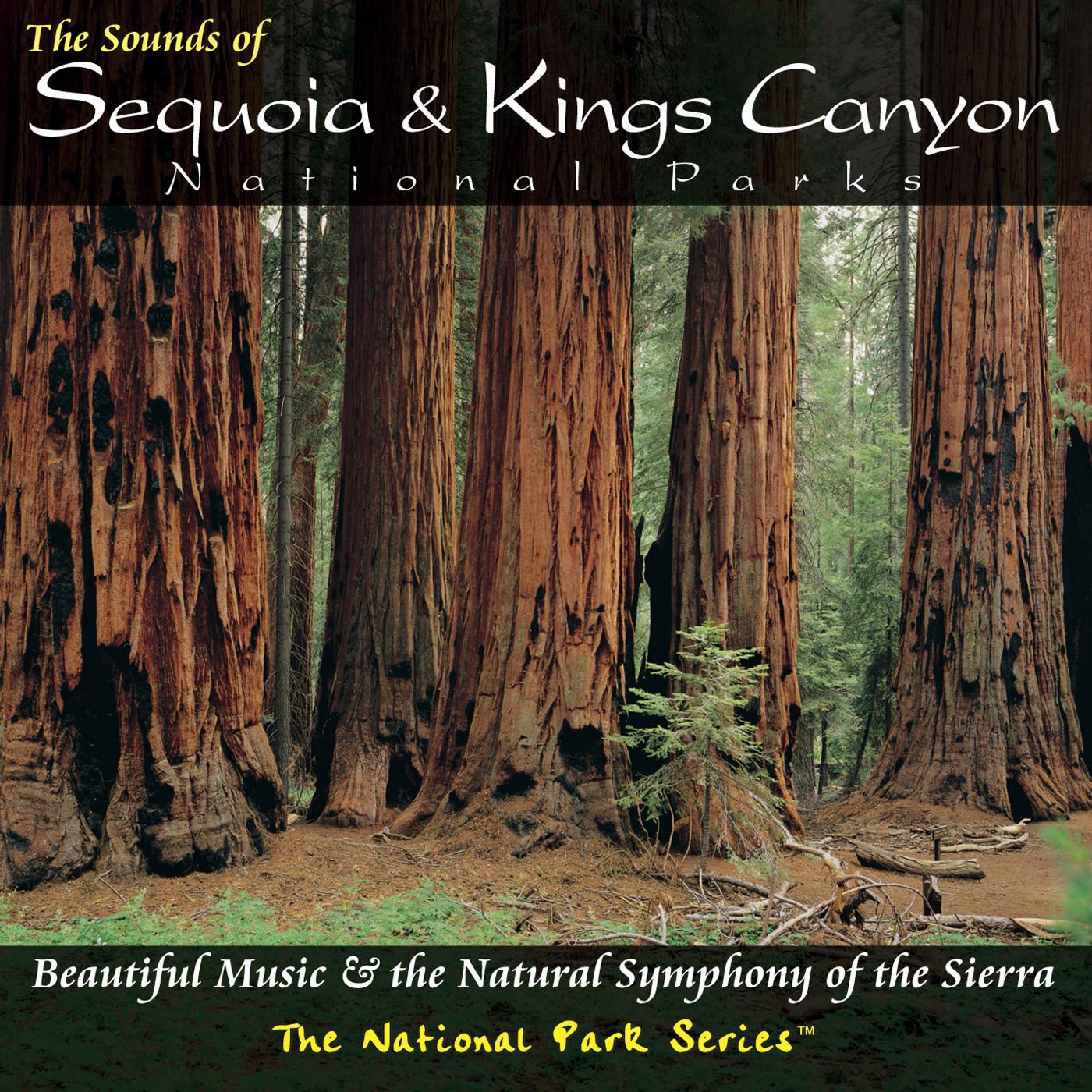 Tim Heintz - Sierra Nevada